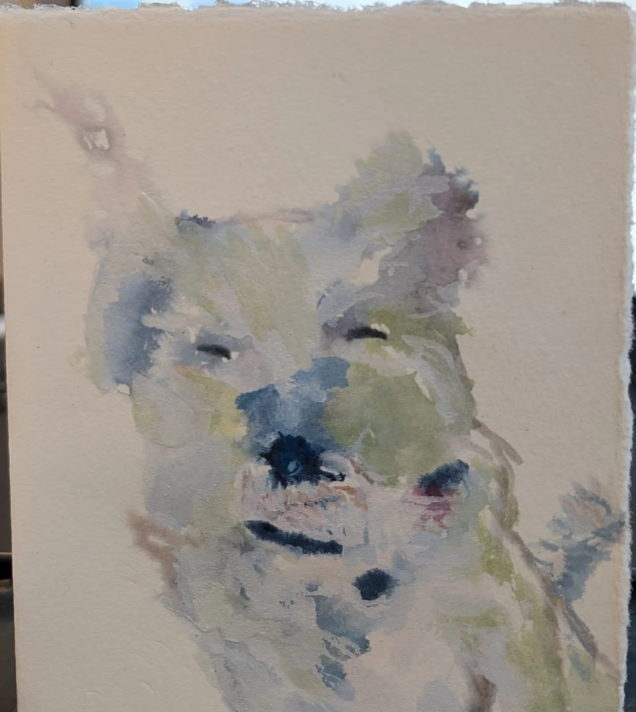 And another dear friend lost 😞 Hopefully they're all happily playing in that playground in the sky