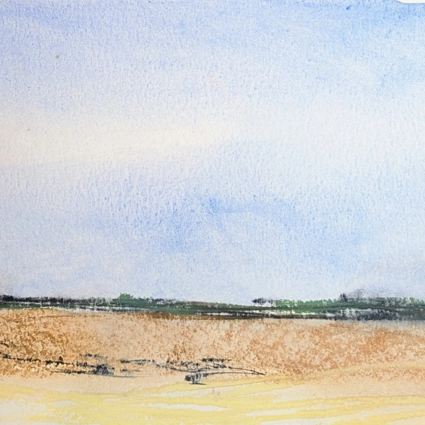 Ink and pastel 
Rain was forecast but it never came 🩵