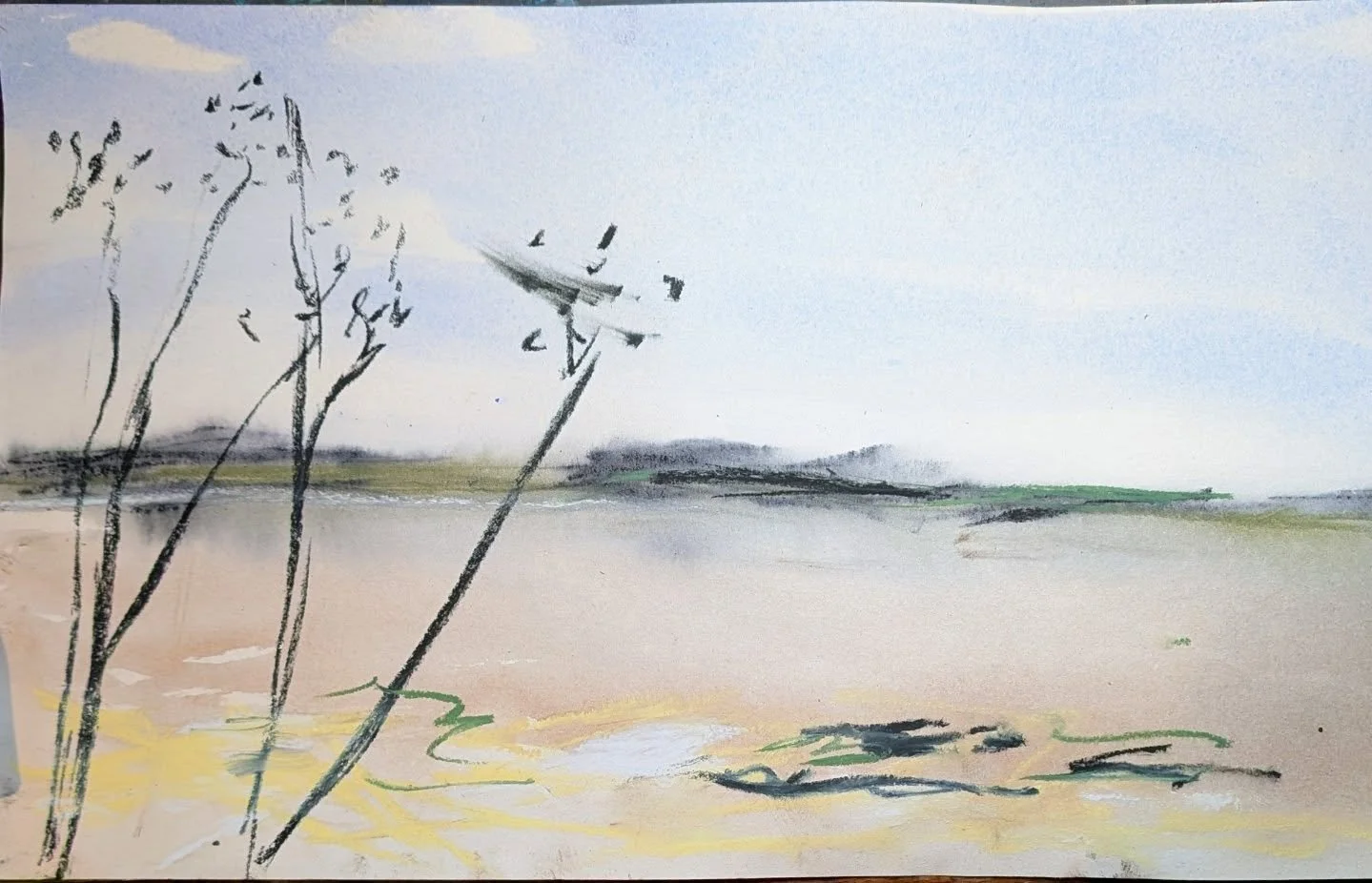 I love cold winter days on the beach. It's mostly empty at this time of year, just the wild birds and occasional dog walkers.

#acrylicink 
#charcoal
#pastel
#enpleinair