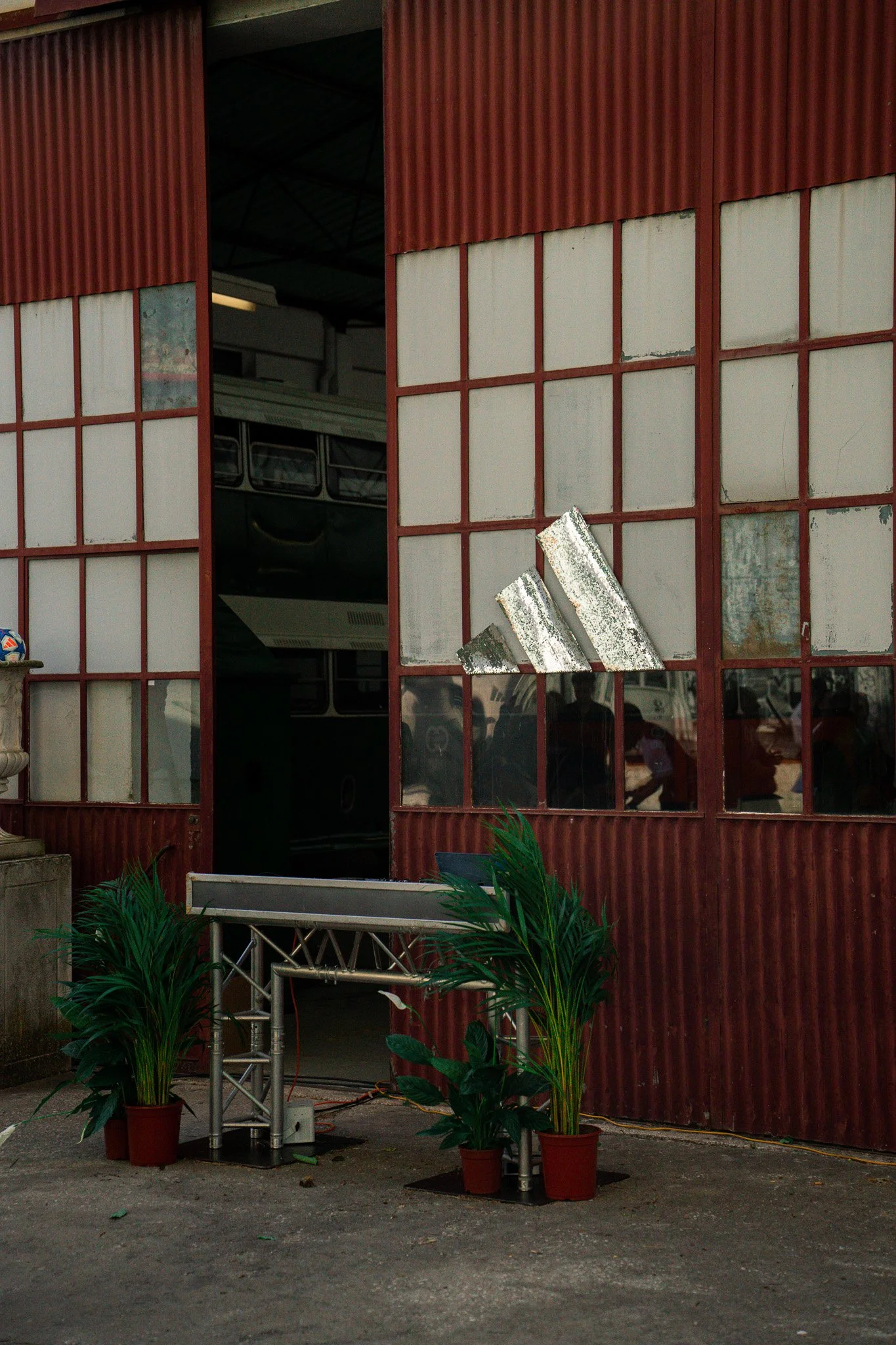 DSC07313.jpg