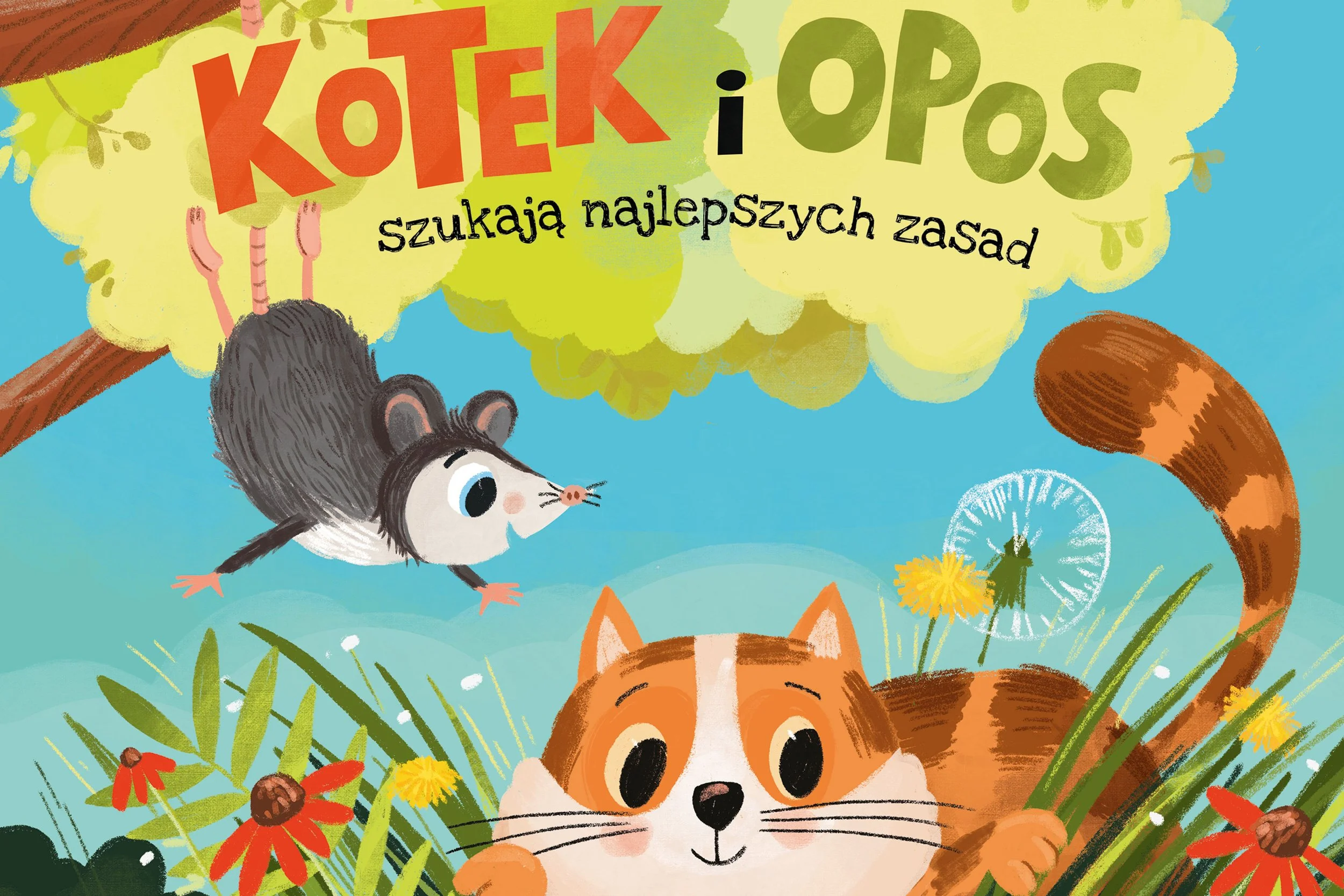 Kotek i opos szukają najlepszych zasad (2026)