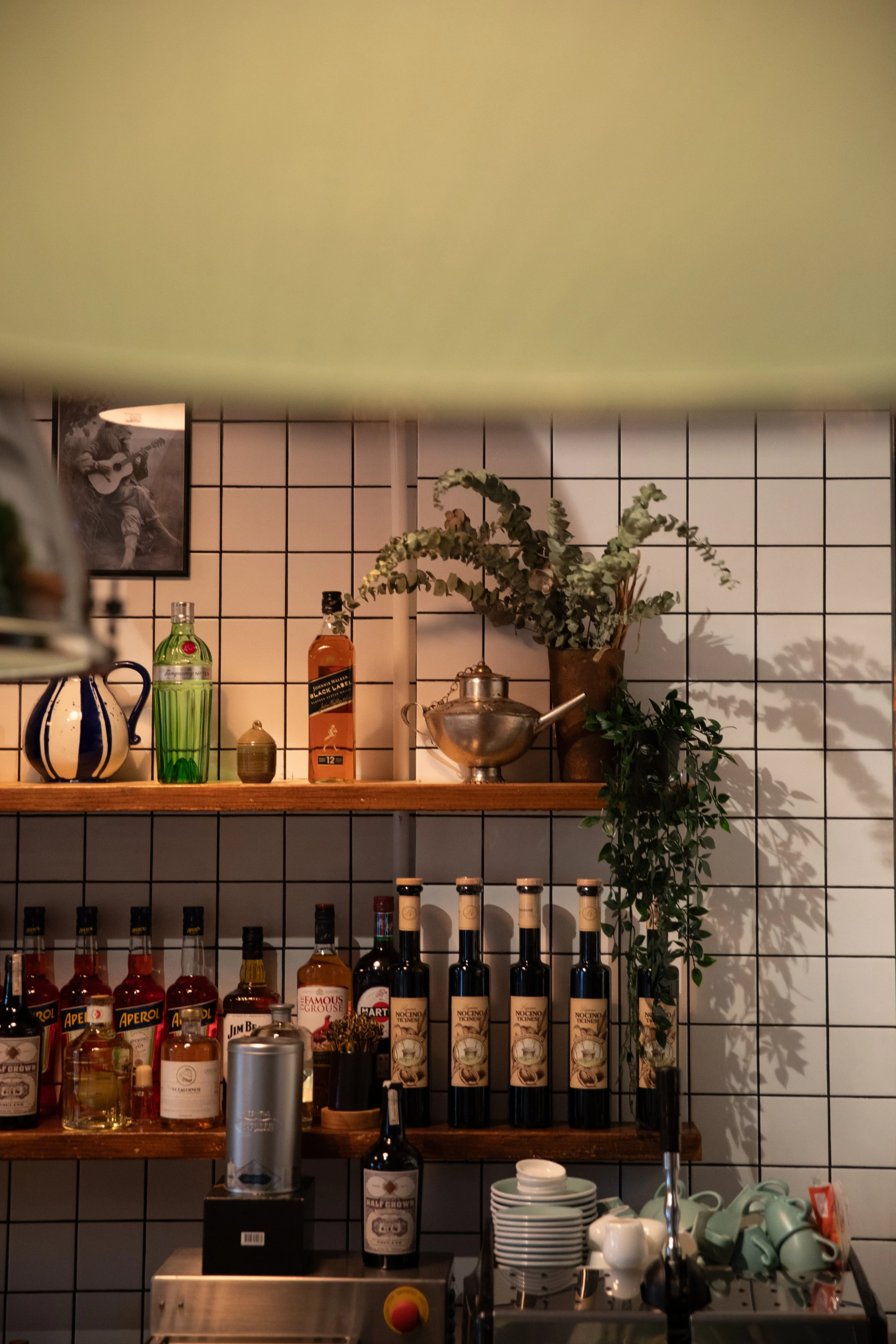 NOCINO_66_High Res_V1.jpg