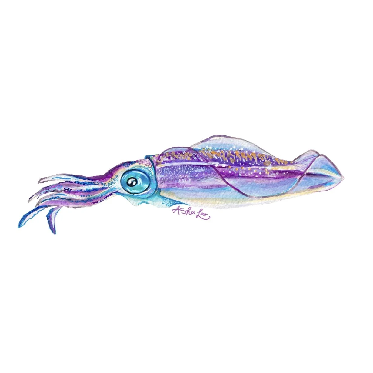 Squid