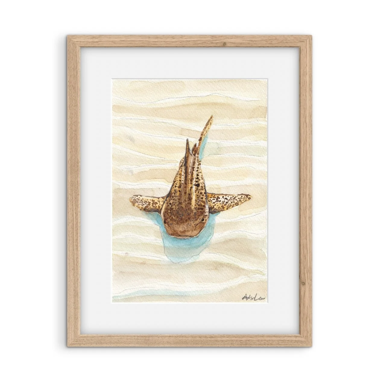 Ningaloo Print Club Subscription | June