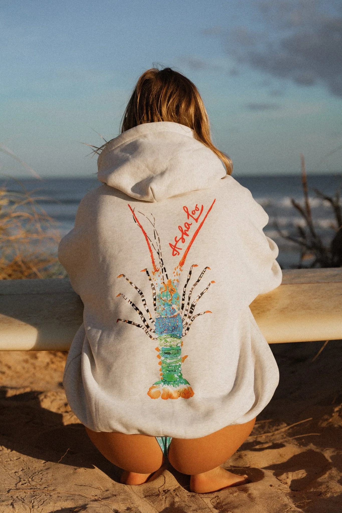 Painted Cray Hoodies