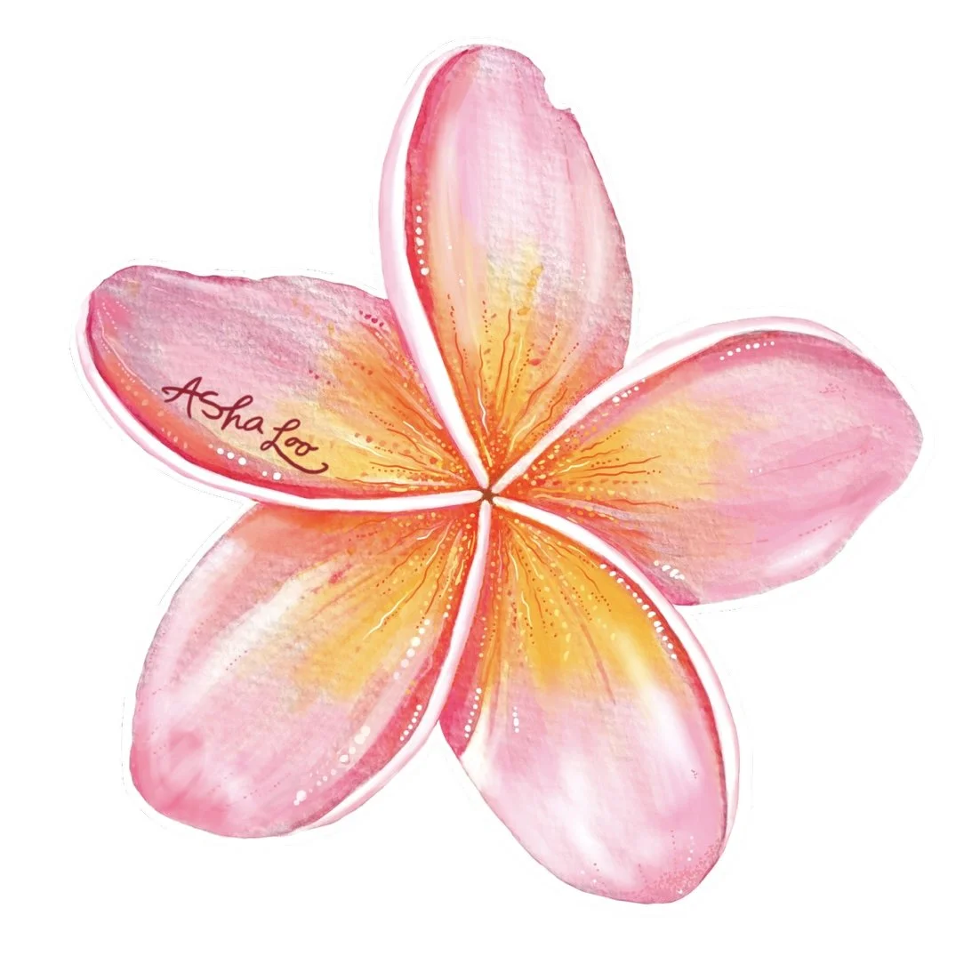 Frangipani