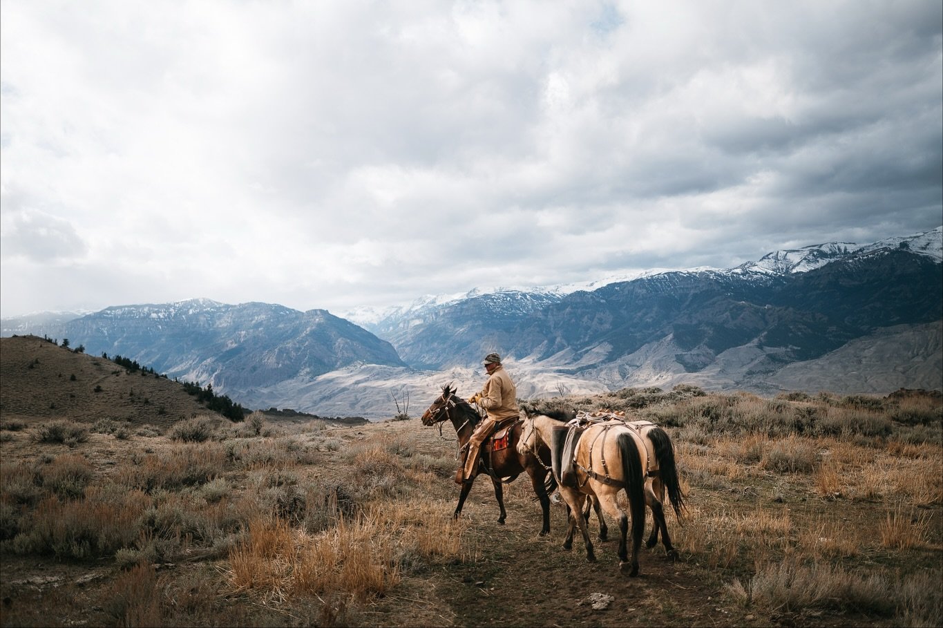 🥹🤯🥰 
Once in a lifetime experience.. oder hoffentlich auch nicht. 🙃 

Reiten und gleichzeitig paar gute Fotos machen gar nicht mal so leicht, aber hab mein bestes versucht. 

#wyoming #cowboystate #nikonphotography #nikondach #midwest #wildwest #