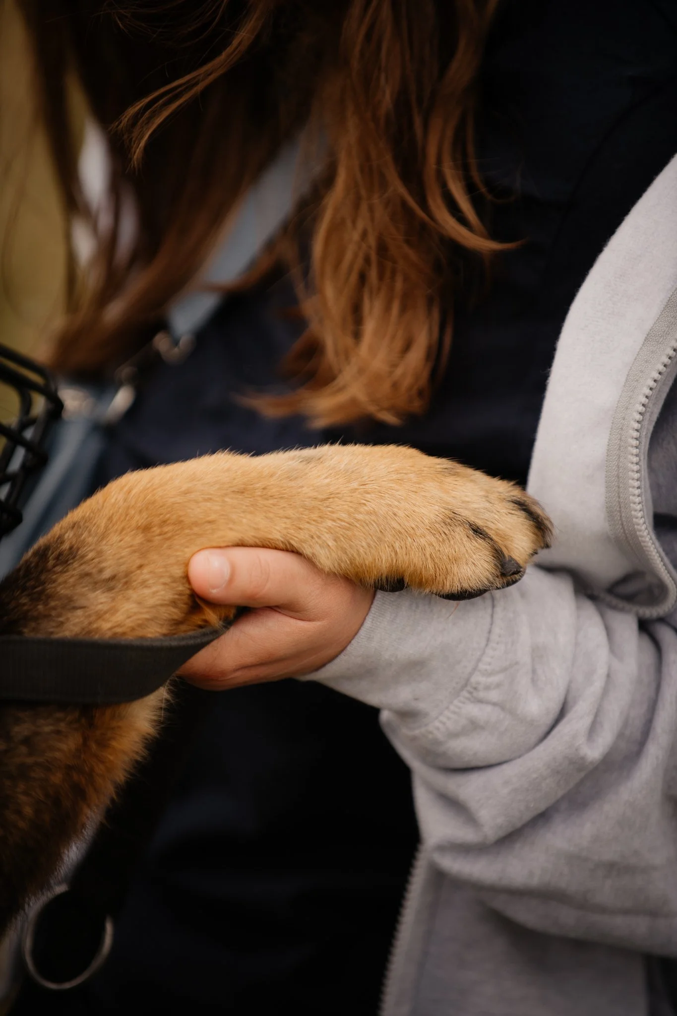 Bark Date_22-06-2024_Berlin_virgitas-4.jpg