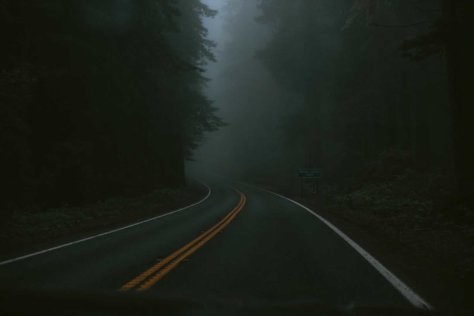 Eine kurvige Straße im Nebel, umgeben von dunklen Bäumen im Wald.