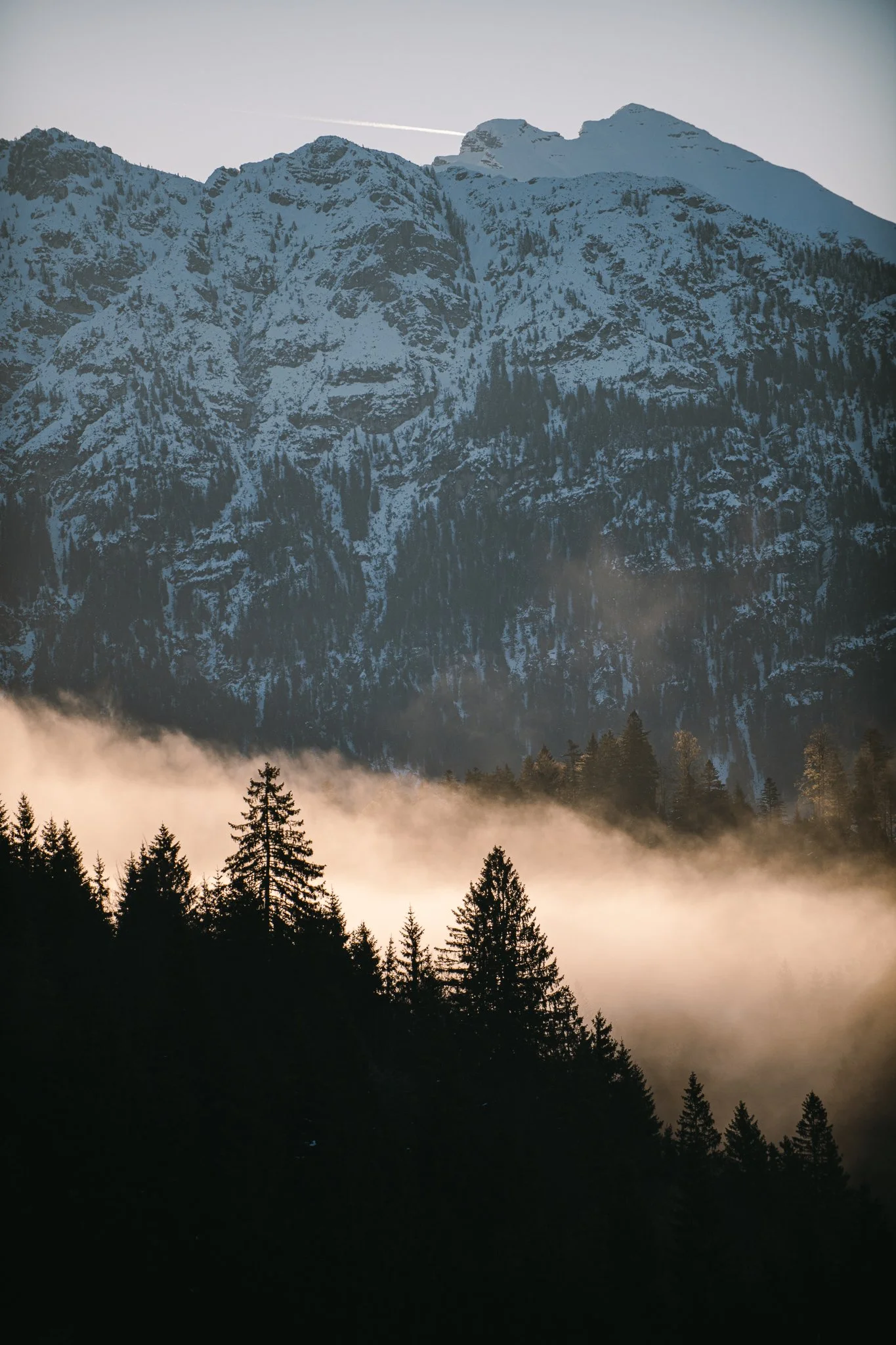 Berg mit Schneeflächen, Nebel im Tannenwald, Sonnenaufgang Garmisch Alpen
