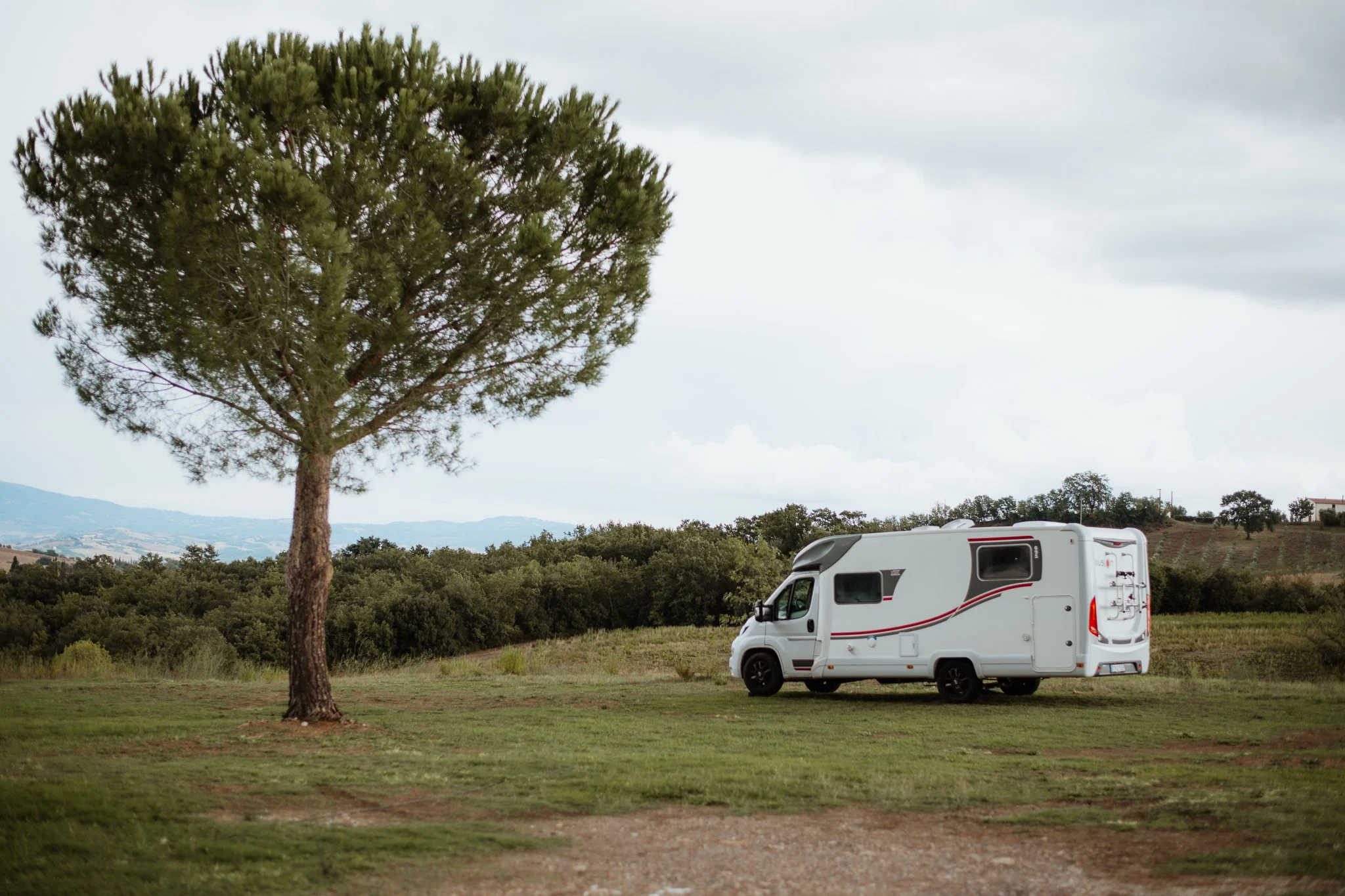 Weißes Wohnmobil auf Wiese neben Baum – Reisefotografie