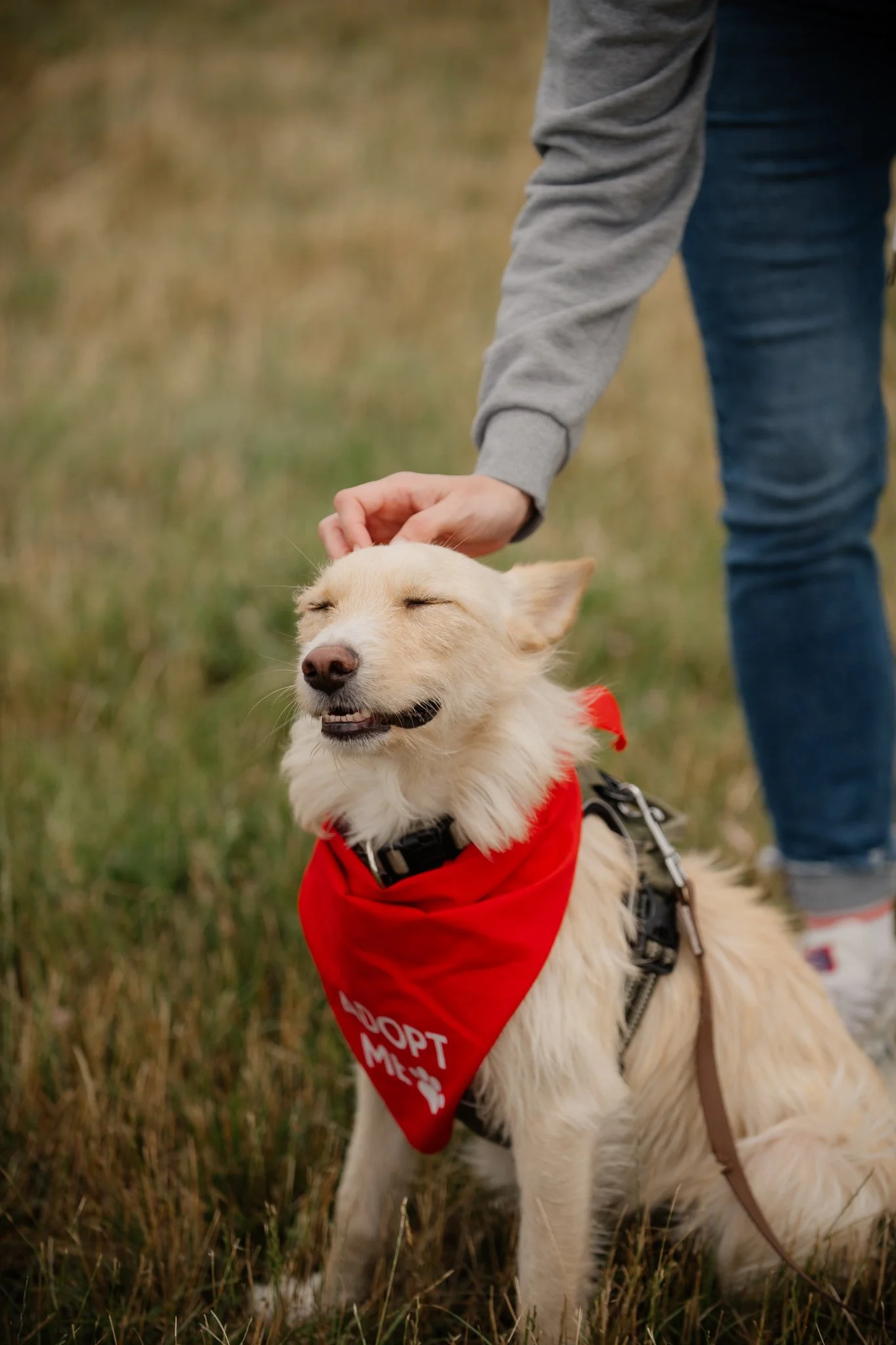 Bark Date_22-06-2024_Berlin_Kalle_virgitas-24.jpg