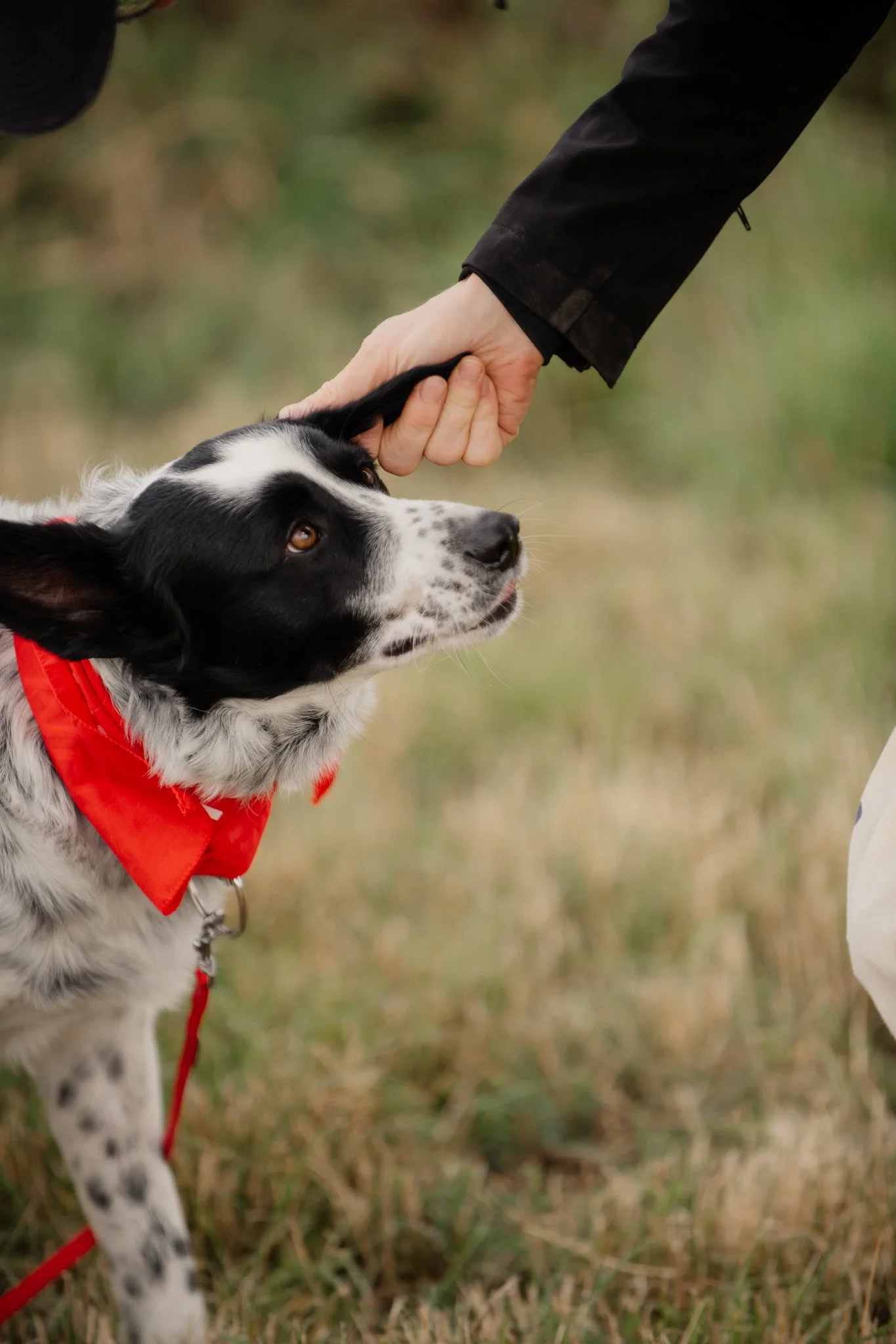 Bark Date_22-06-2024_Berlin_Chaplin_virgitas-6.jpg
