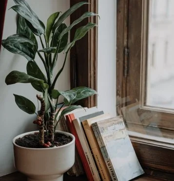 Design As Design, An Interview