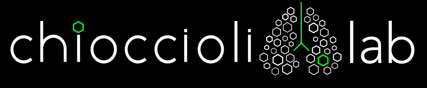 chiocciolilab.com