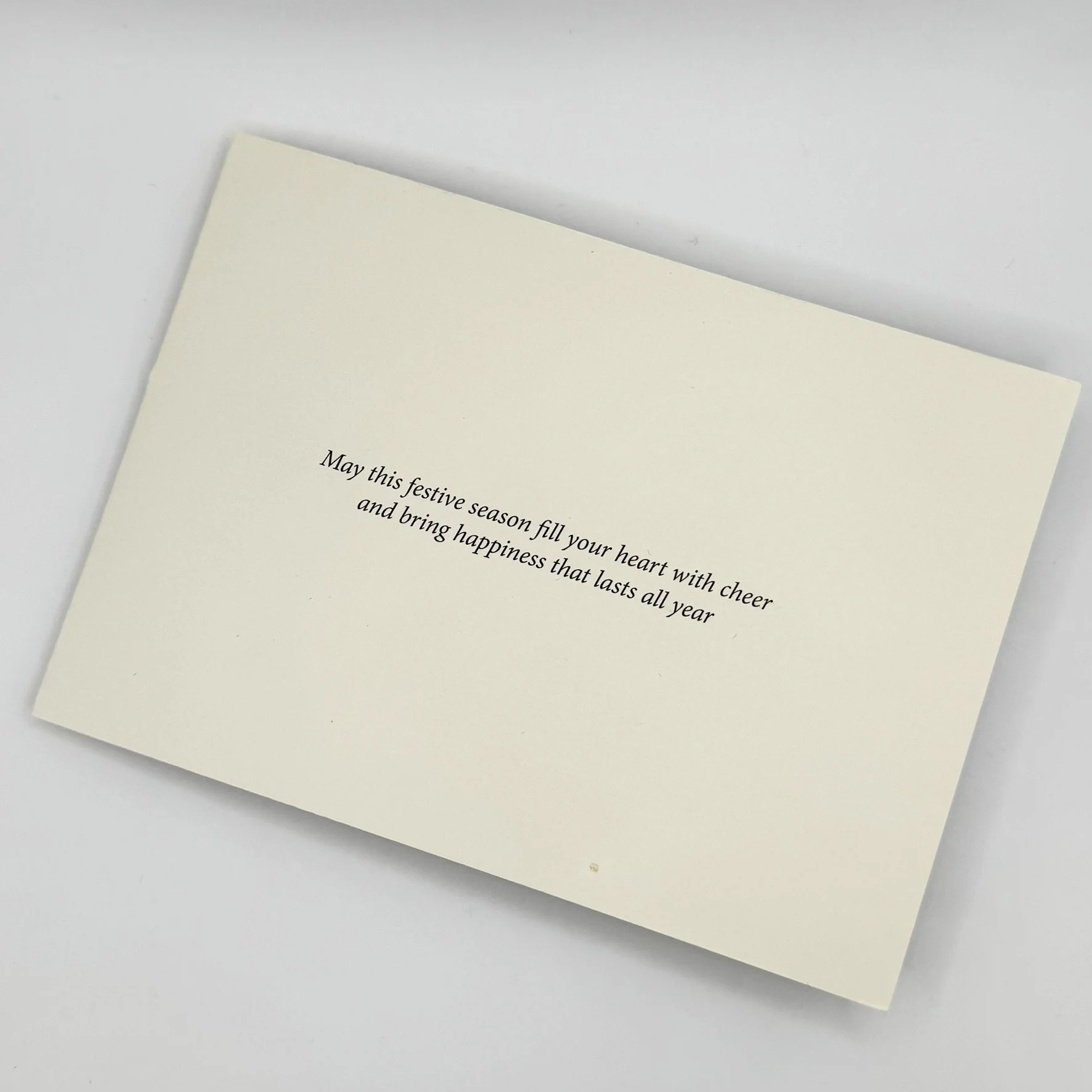 xmas card 2025 - inside.JPEG