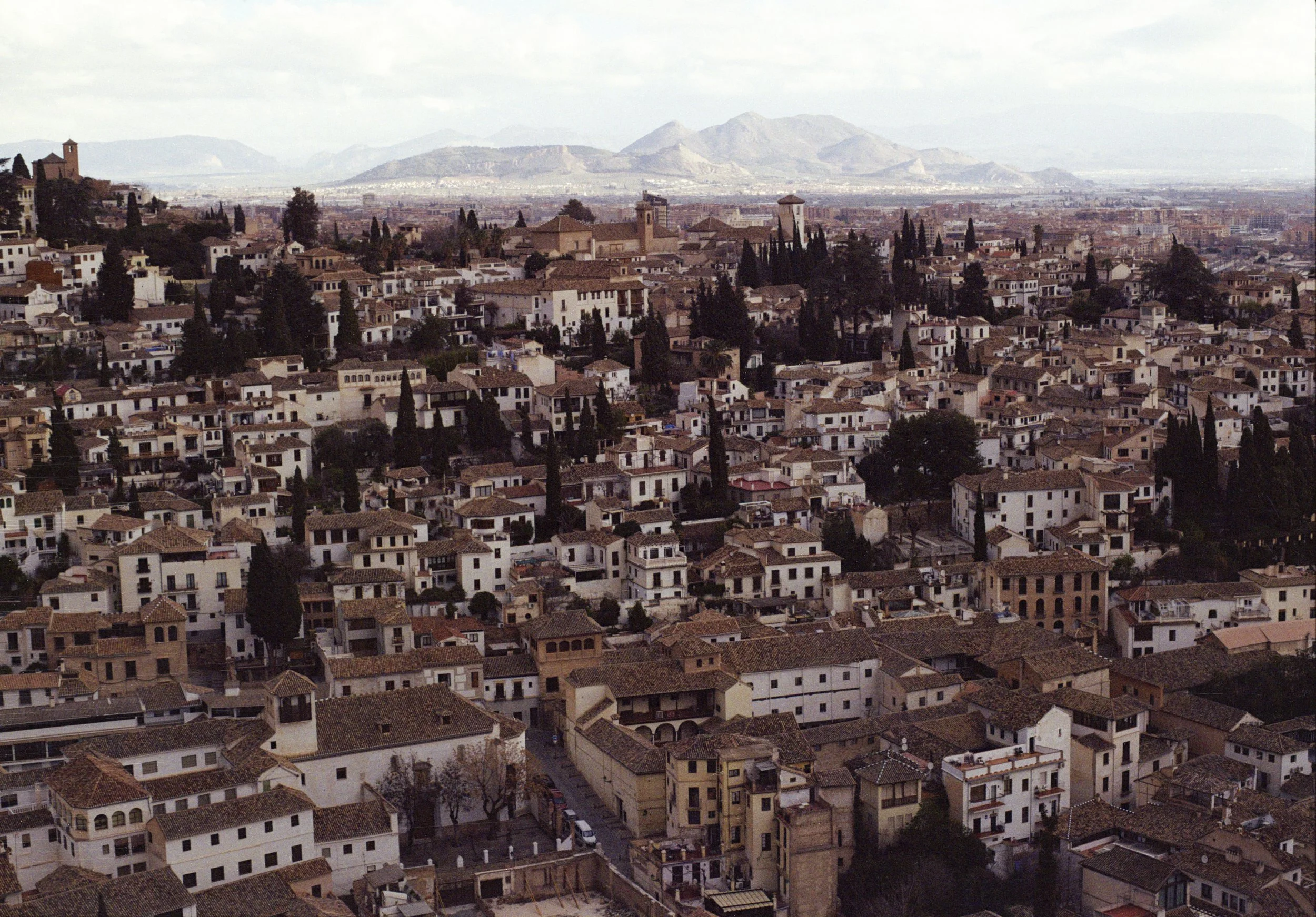 3Andalusia6.jpg