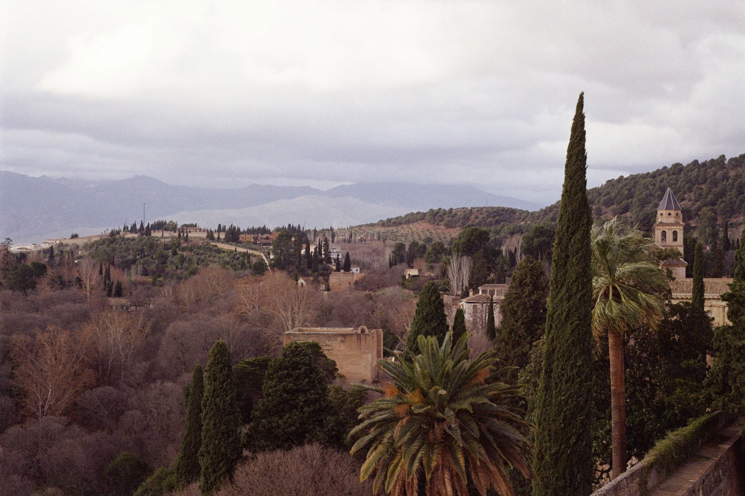 3Andalusia8.jpg