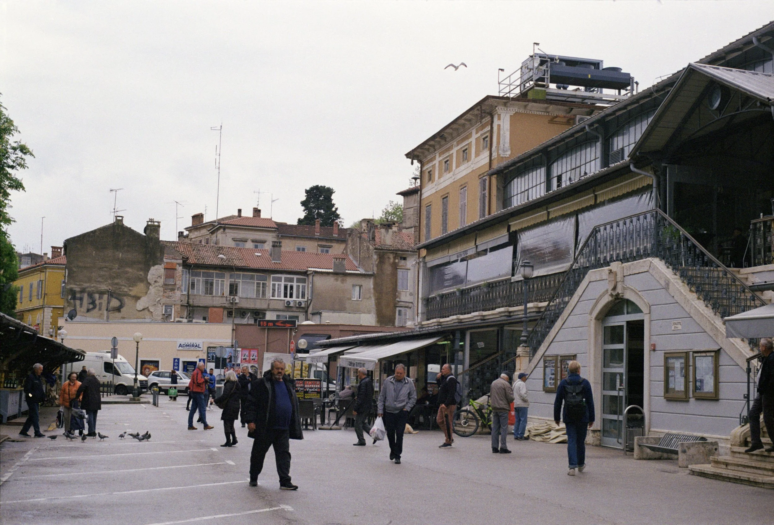 Pula.jpg