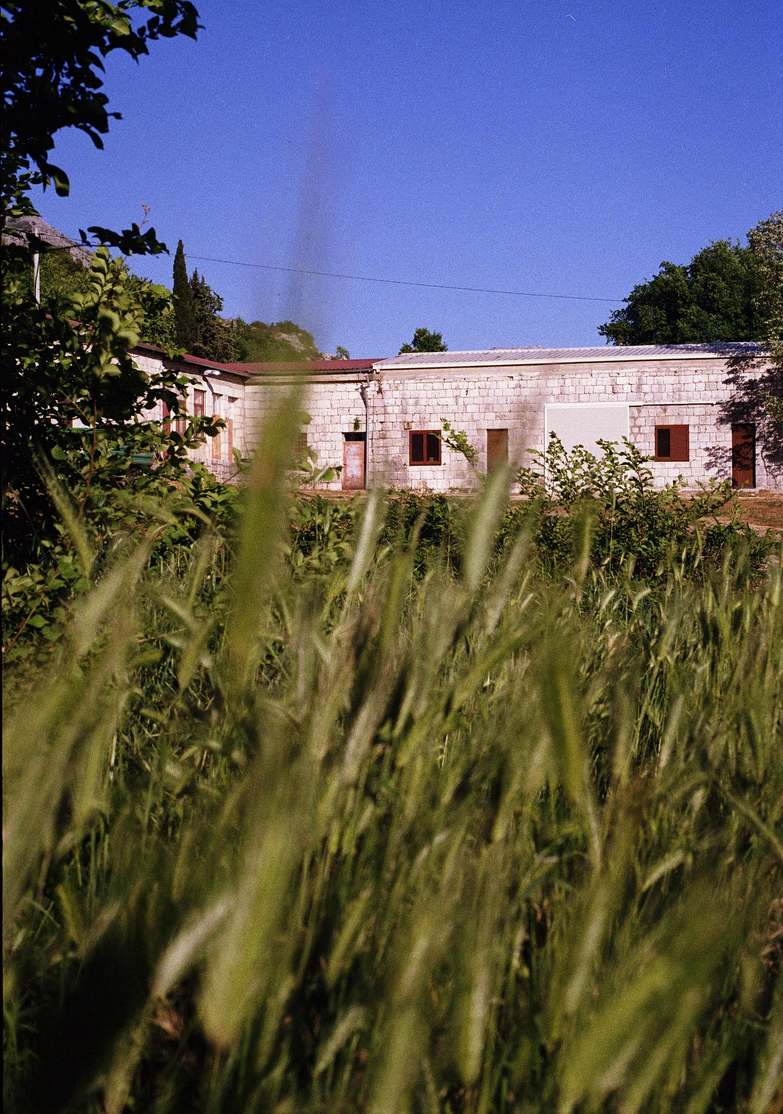Bosnia (4).jpg