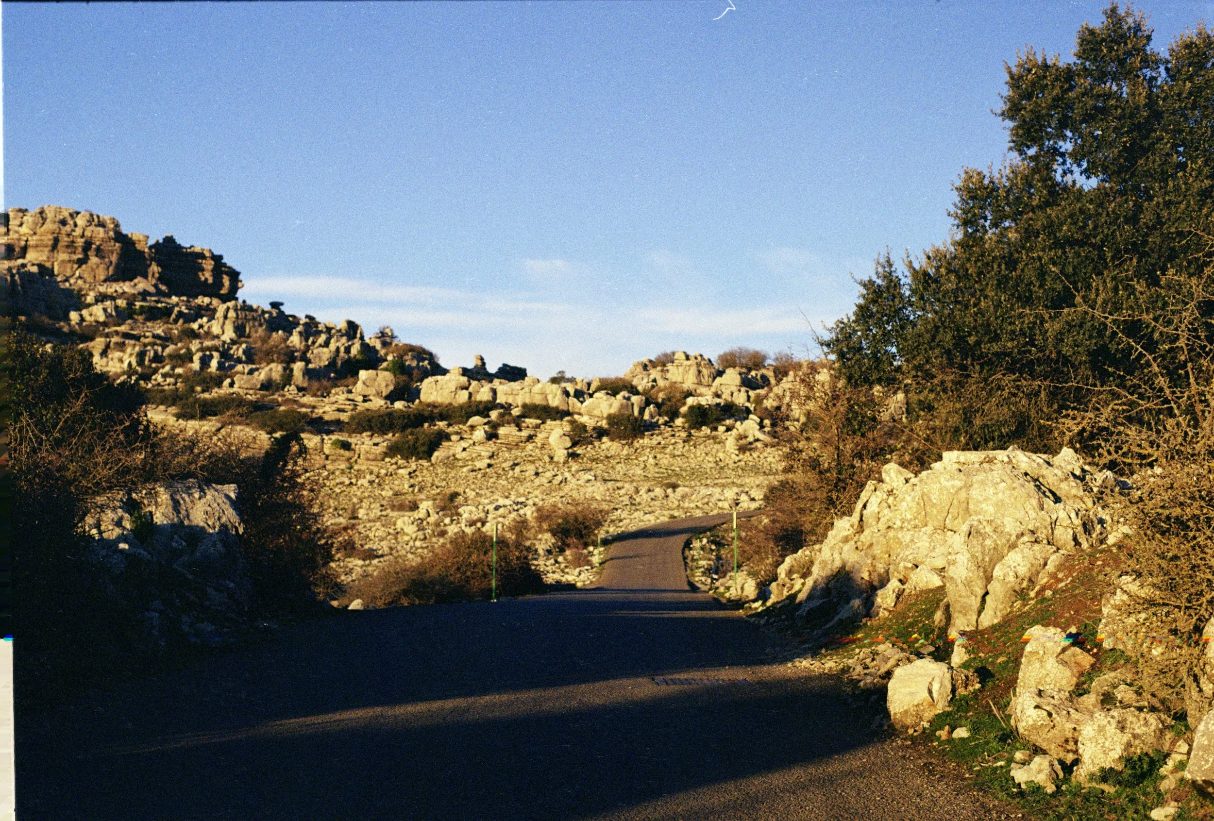 1Andalusia12.jpg