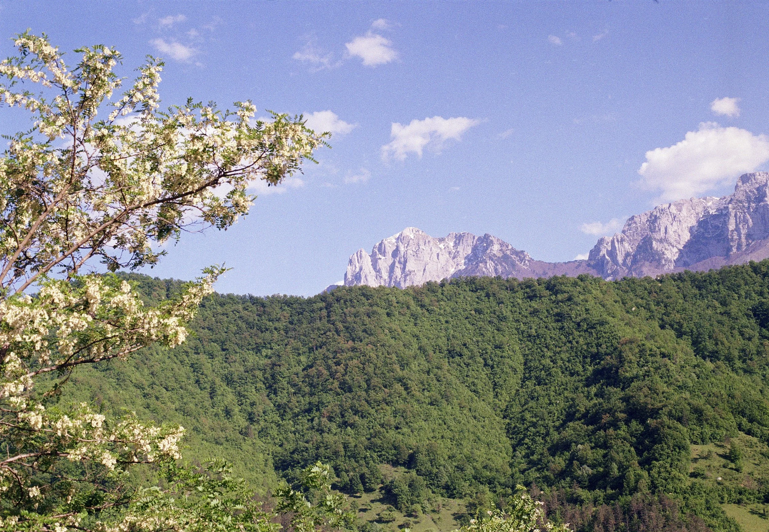 Bosnia (27).jpg