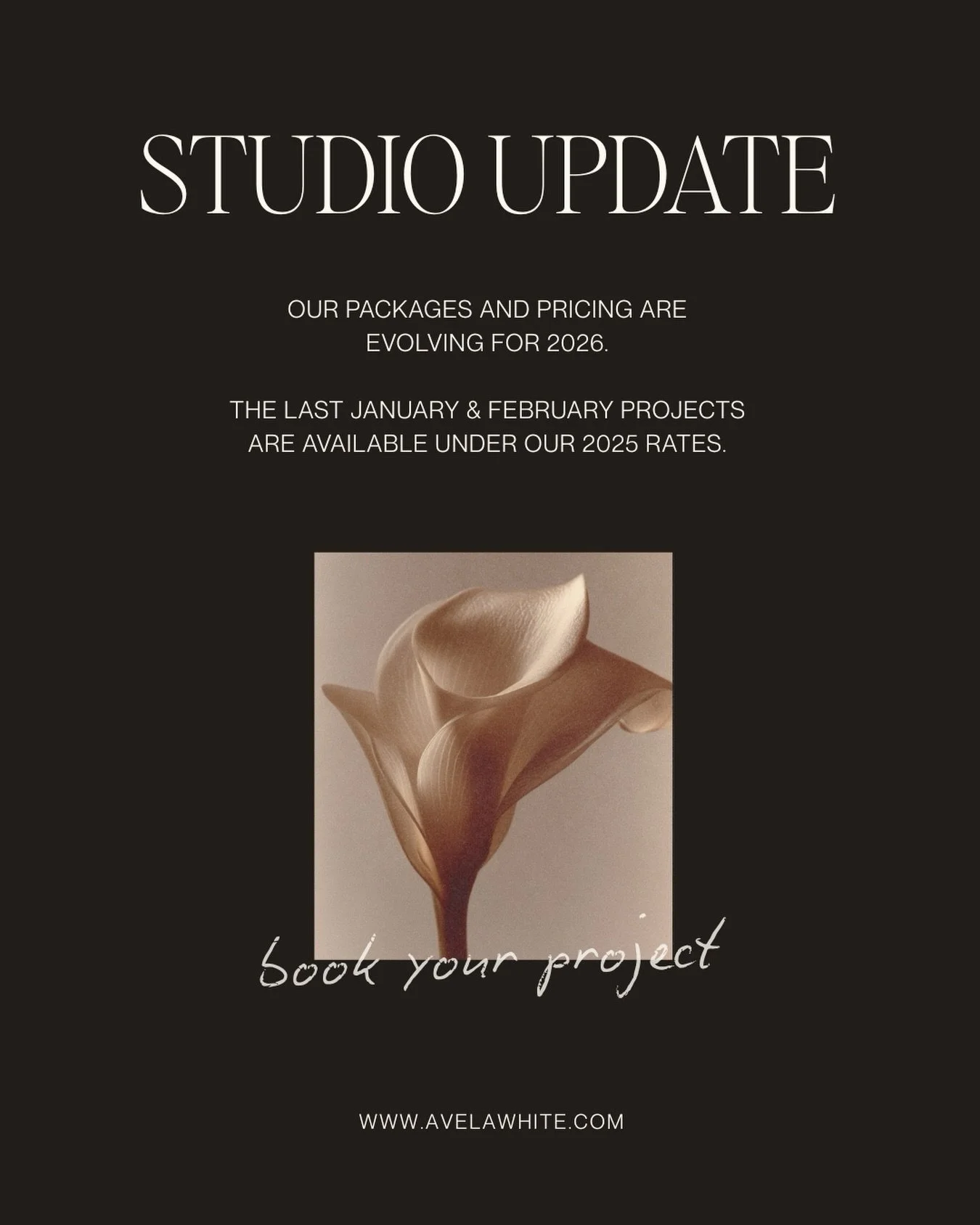 Studio update ✨

This past year has been a truly special one for Avel&atilde; White. We&rsquo;ve had the privilege of working on weddings across different destinations, creating thoughtful design experiences that felt deeply personal to each couple.
