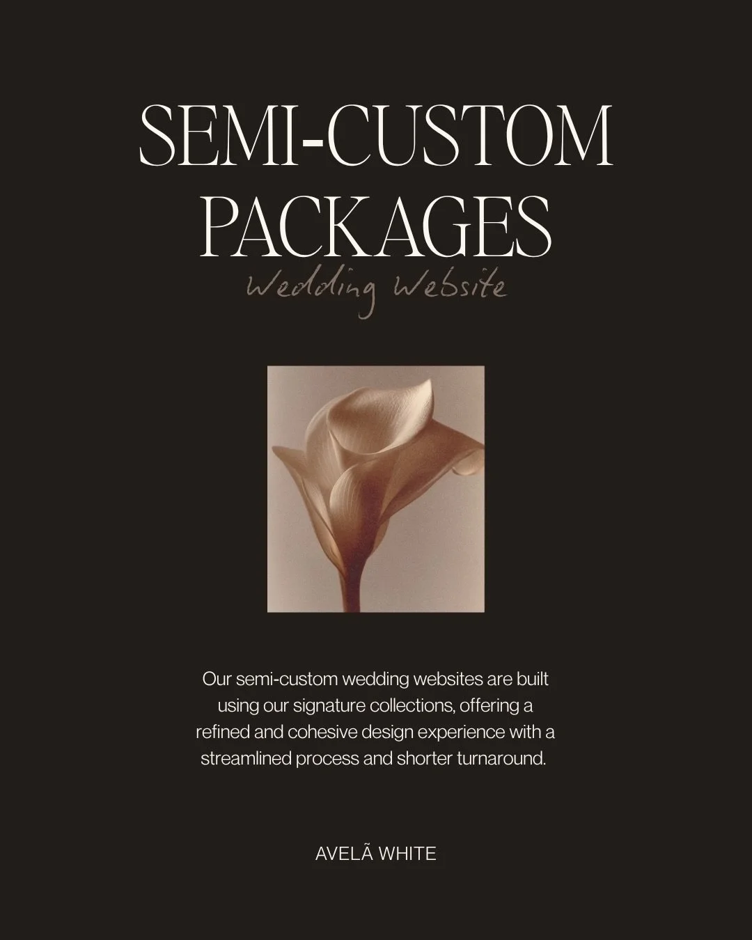 Our Semi-Custom Packages

Over the past months, we received many requests to bring back a lighter version of our semi-custom offering. Something more streamlined, while still carrying the same level of design and intention.

So we brought it back.

O