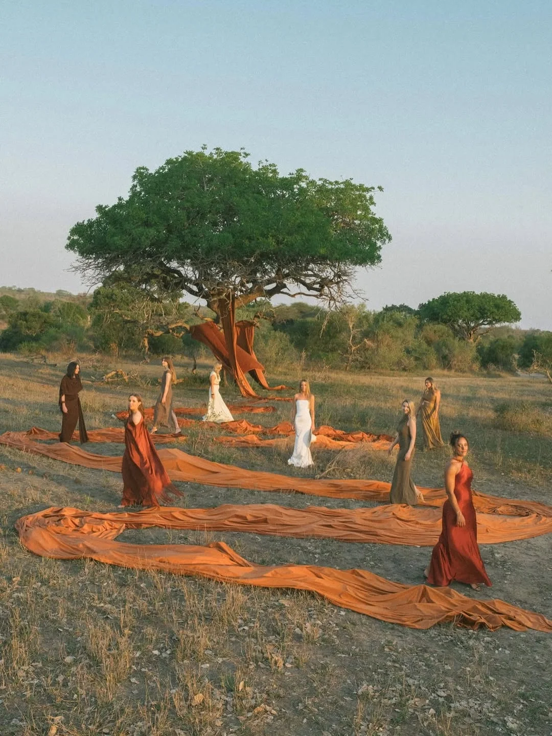 An orange wedding palette | Avelã White