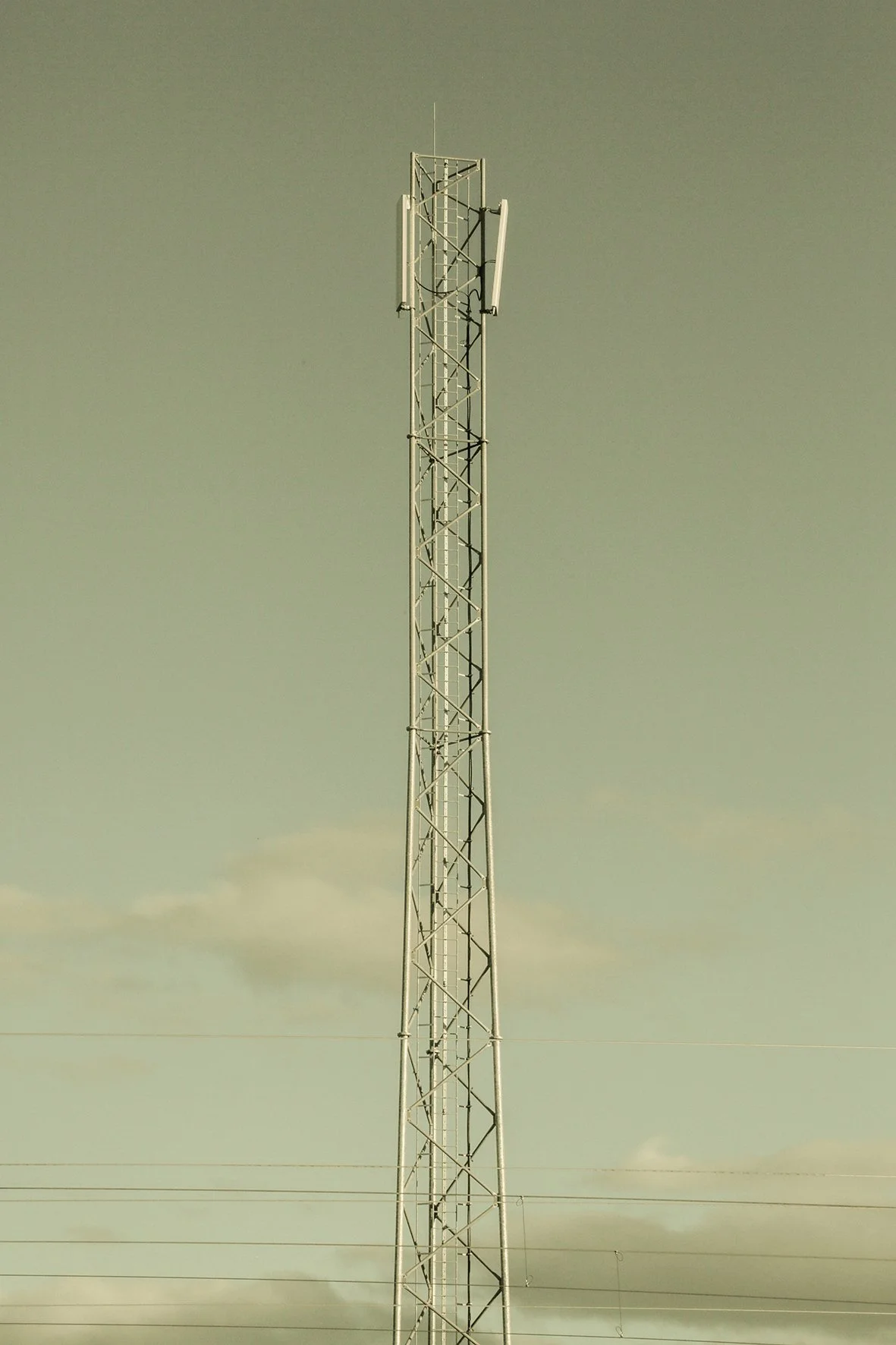 _B6A8852.jpg