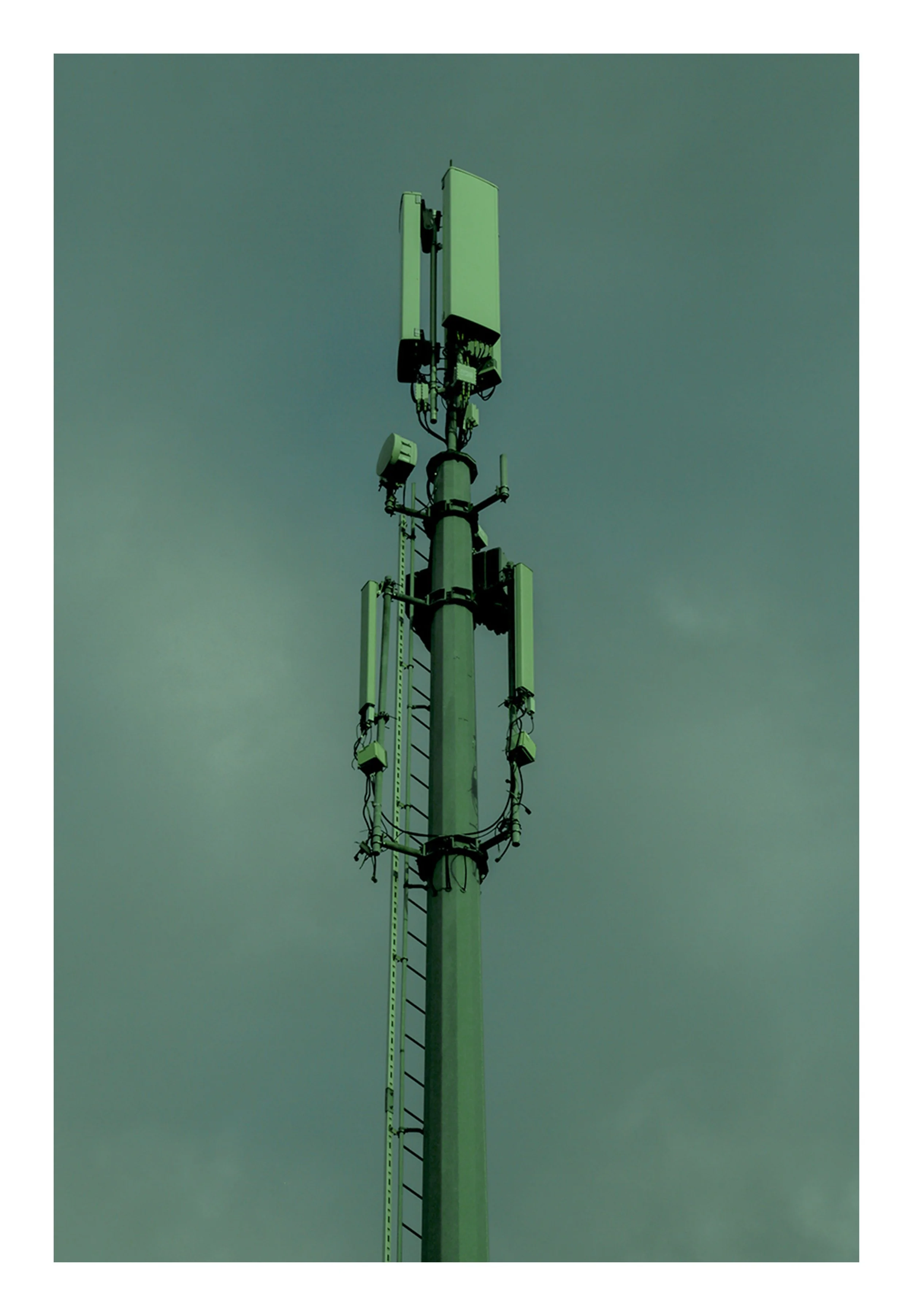 _B6A8607_high.jpg