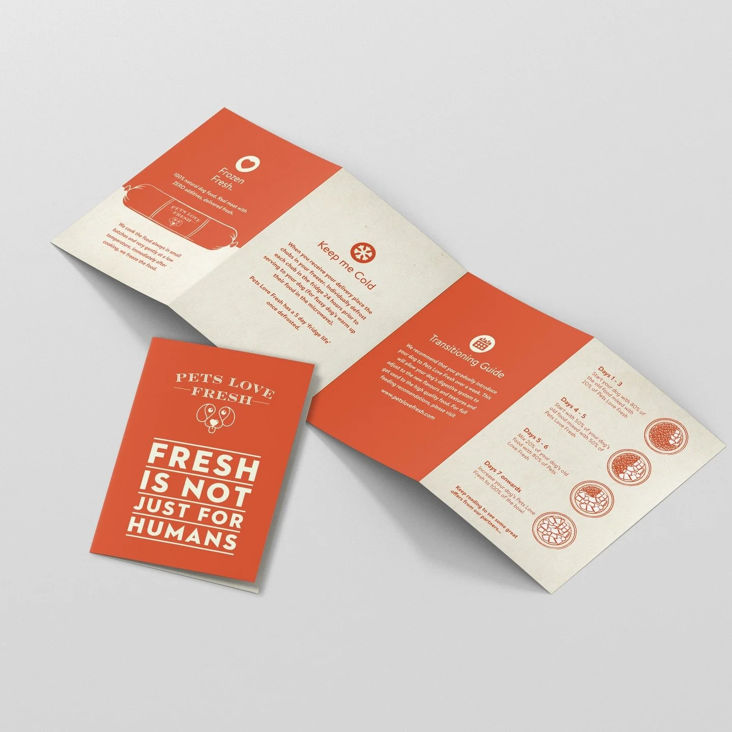 Why A6 8pp Roll Fold Works for Direct Mail ๐ฎ
Small but mighty—the A6 8pp Roll Fold is a smart choice for direct mail campaigns:
๐ค Compact & Cost-Effective
๐ฌ 8 Panels = Room to Tell Your Story
โป๏ธ Roll Fold = Natural Flow & Engagemen