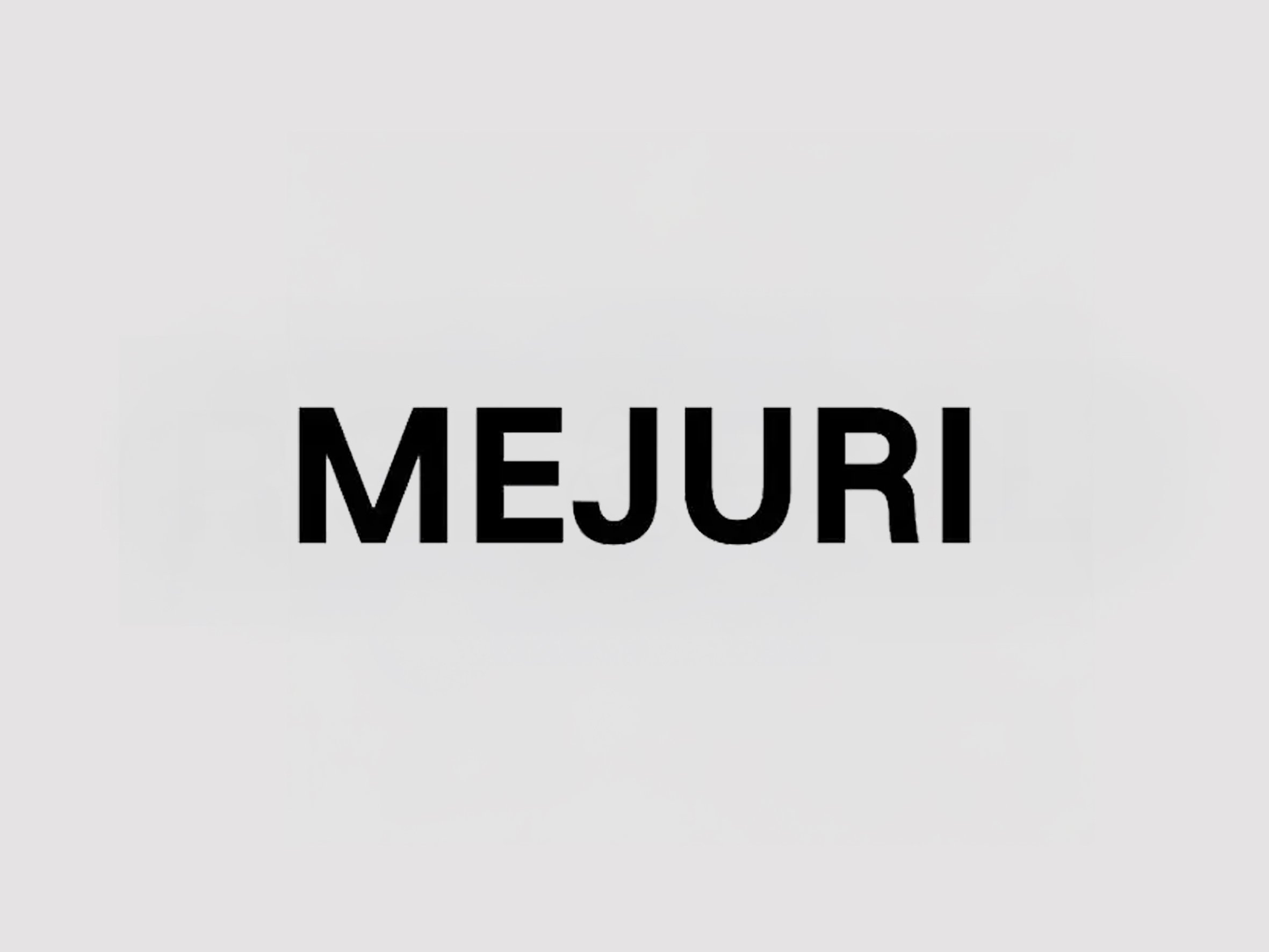 Website Mejuri image.jpg