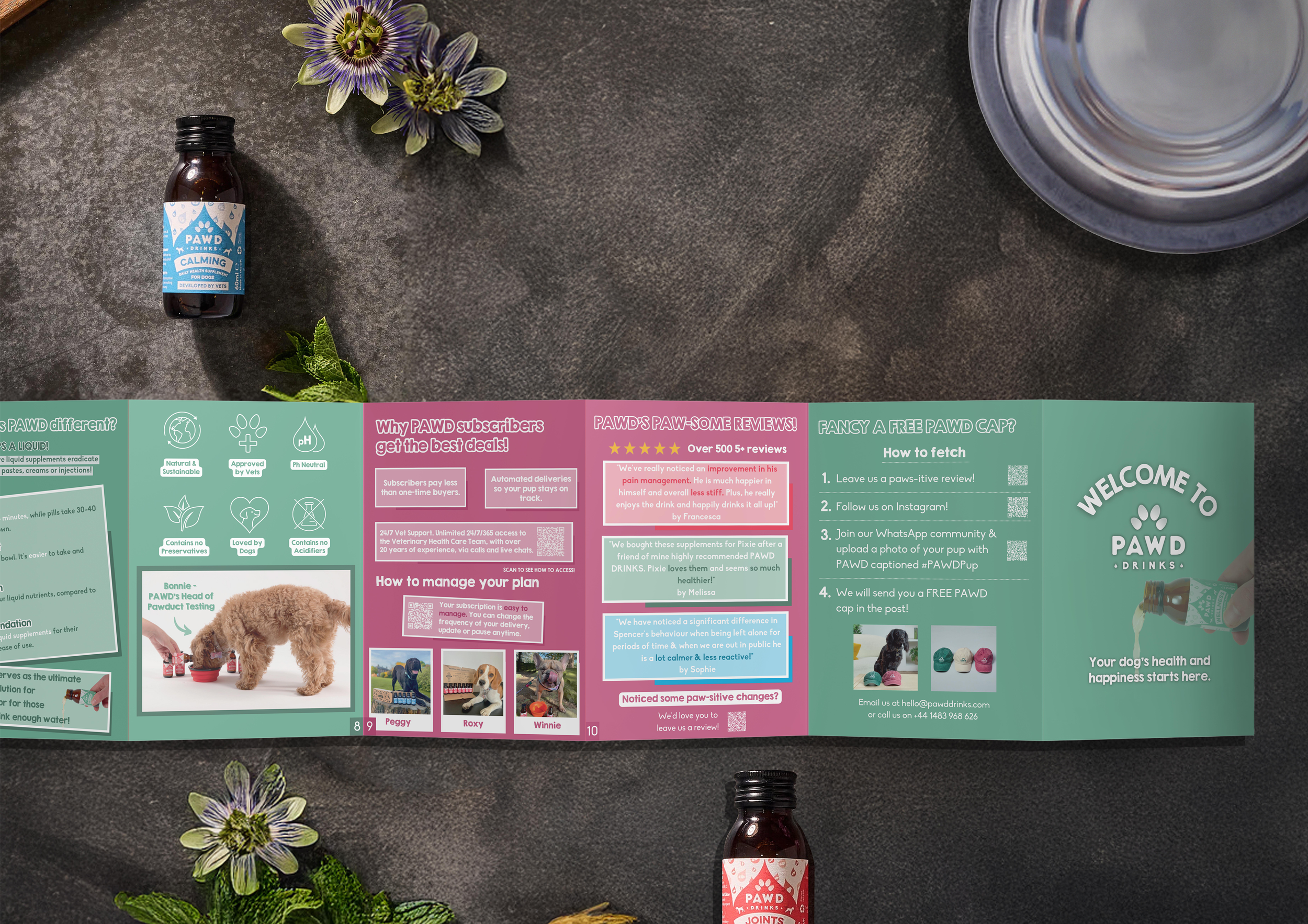 Collection of promotional flyers made for door drop marketing and direct mail campaigns.