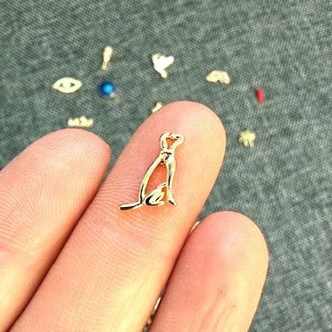 Miniatur Hund.jpeg