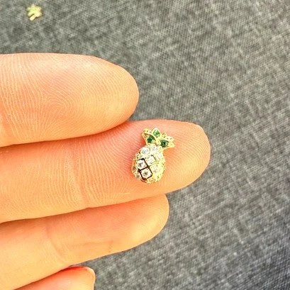 Miniatur Ananas.jpeg