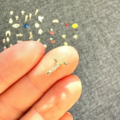 Mini Garnele Strass - Kopie.jpeg