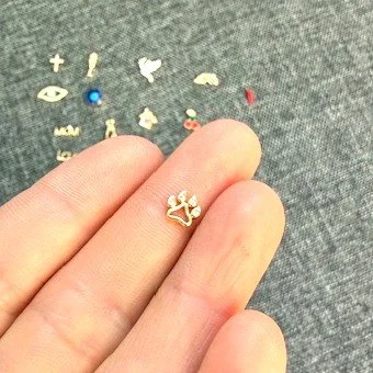 Miniatur Tatze.jpeg