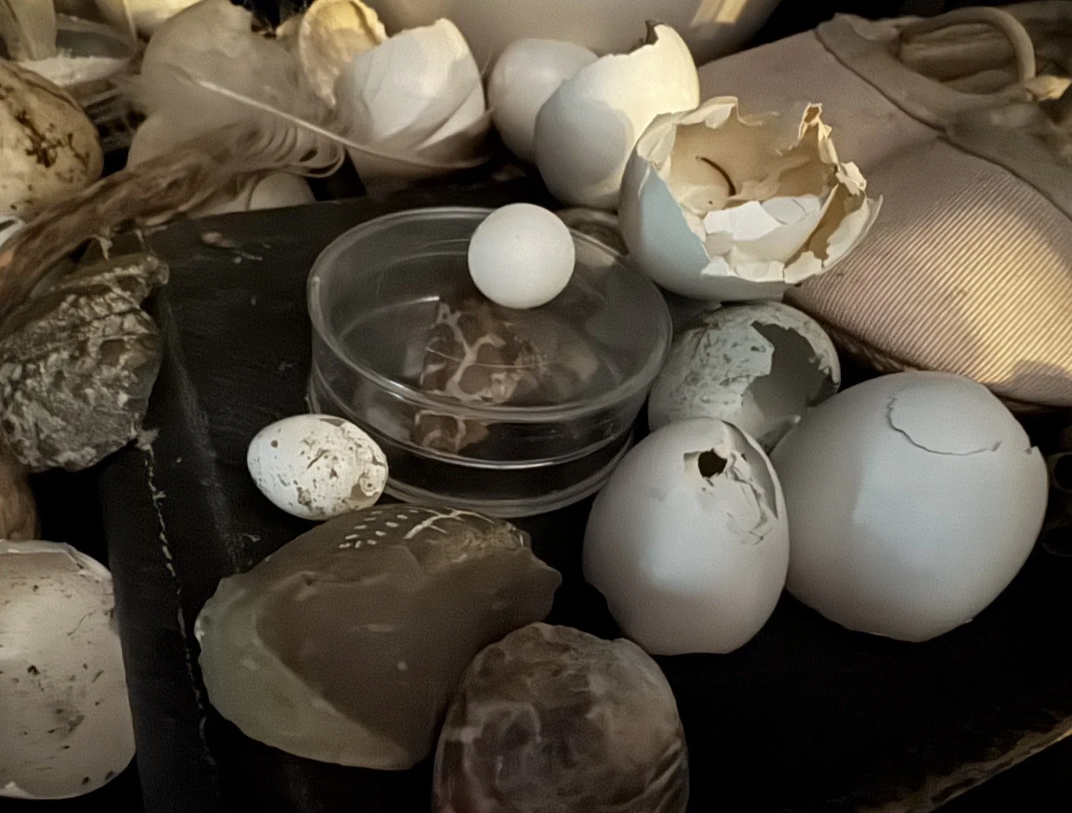 Why your collections matter more than you think…