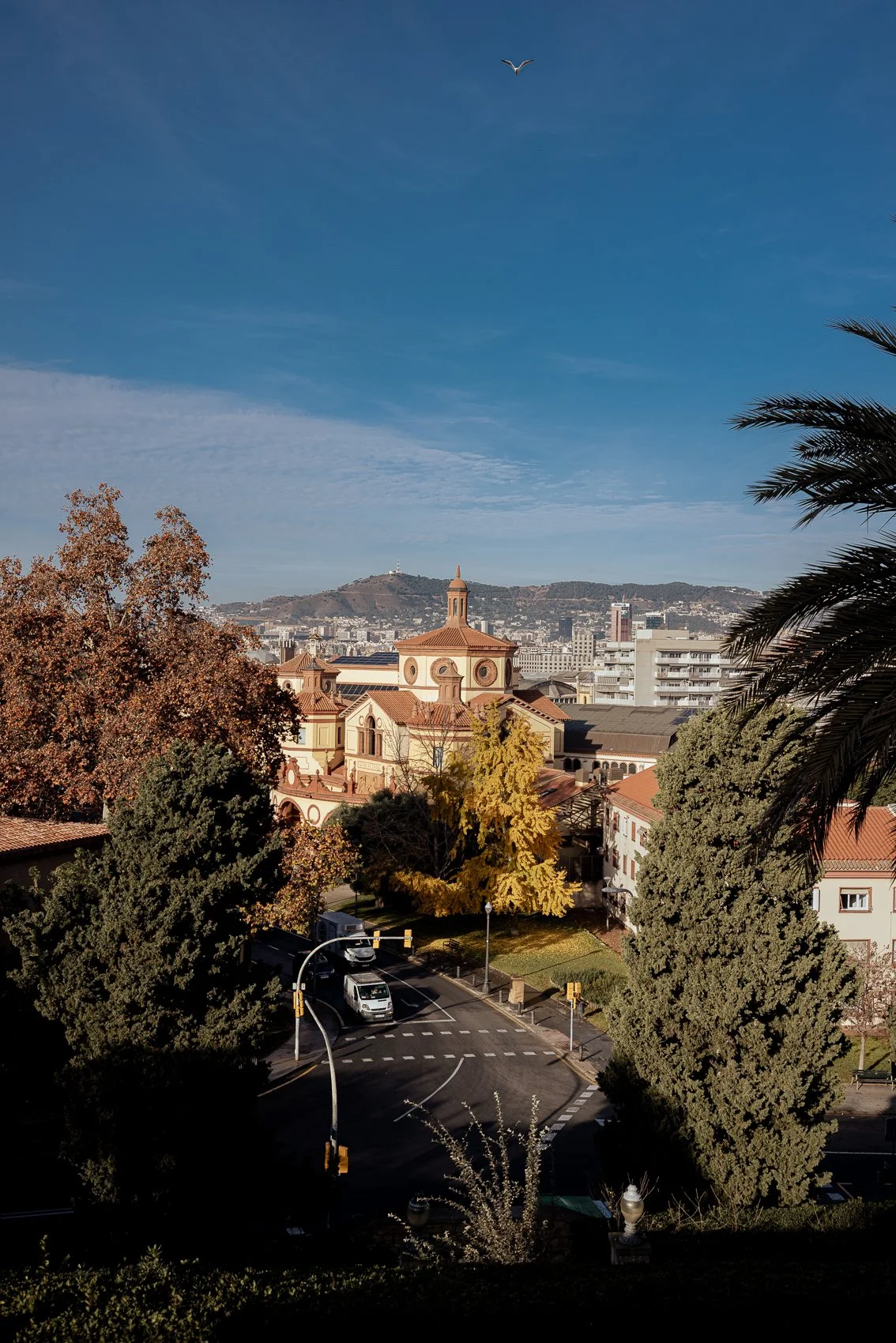 20251210 Pau - Juan Pedro0005.jpg