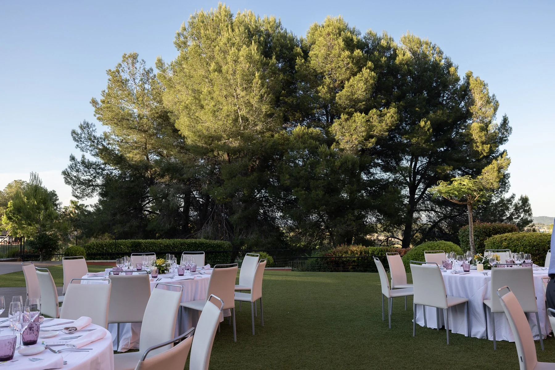 0227Erandy Mendoza Fotografía.jpg