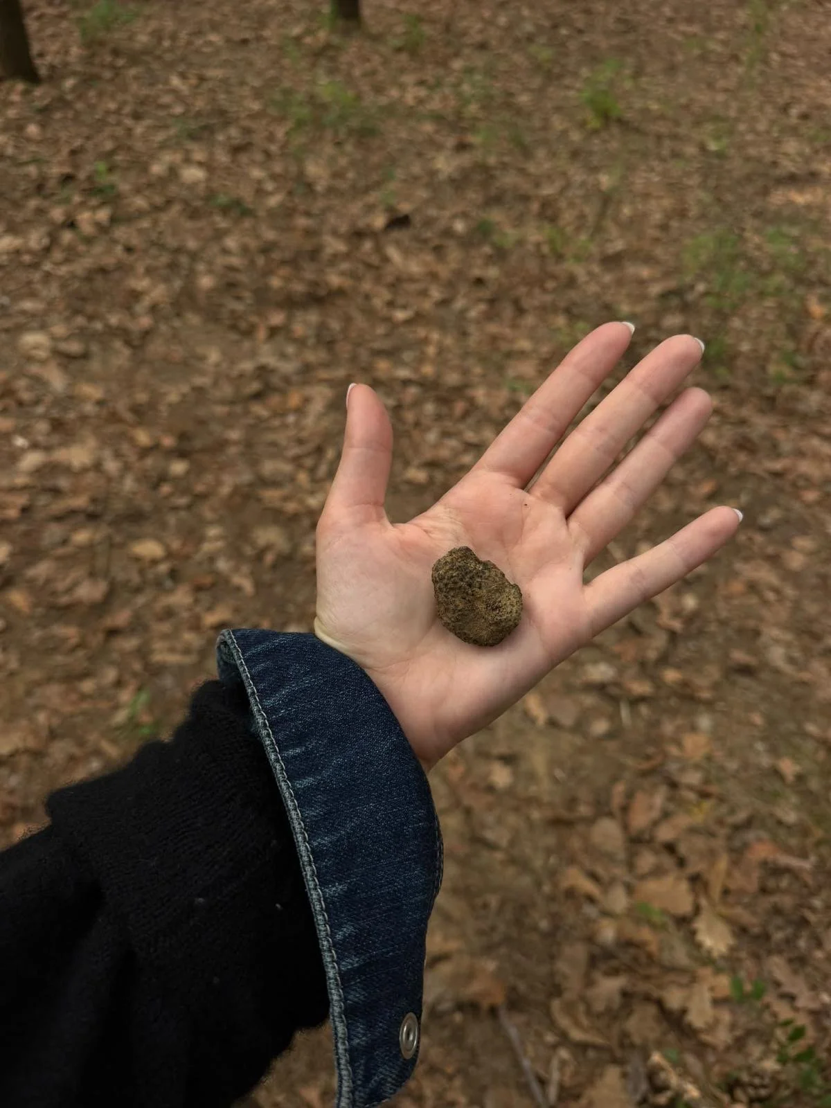 walk 2.jpeg