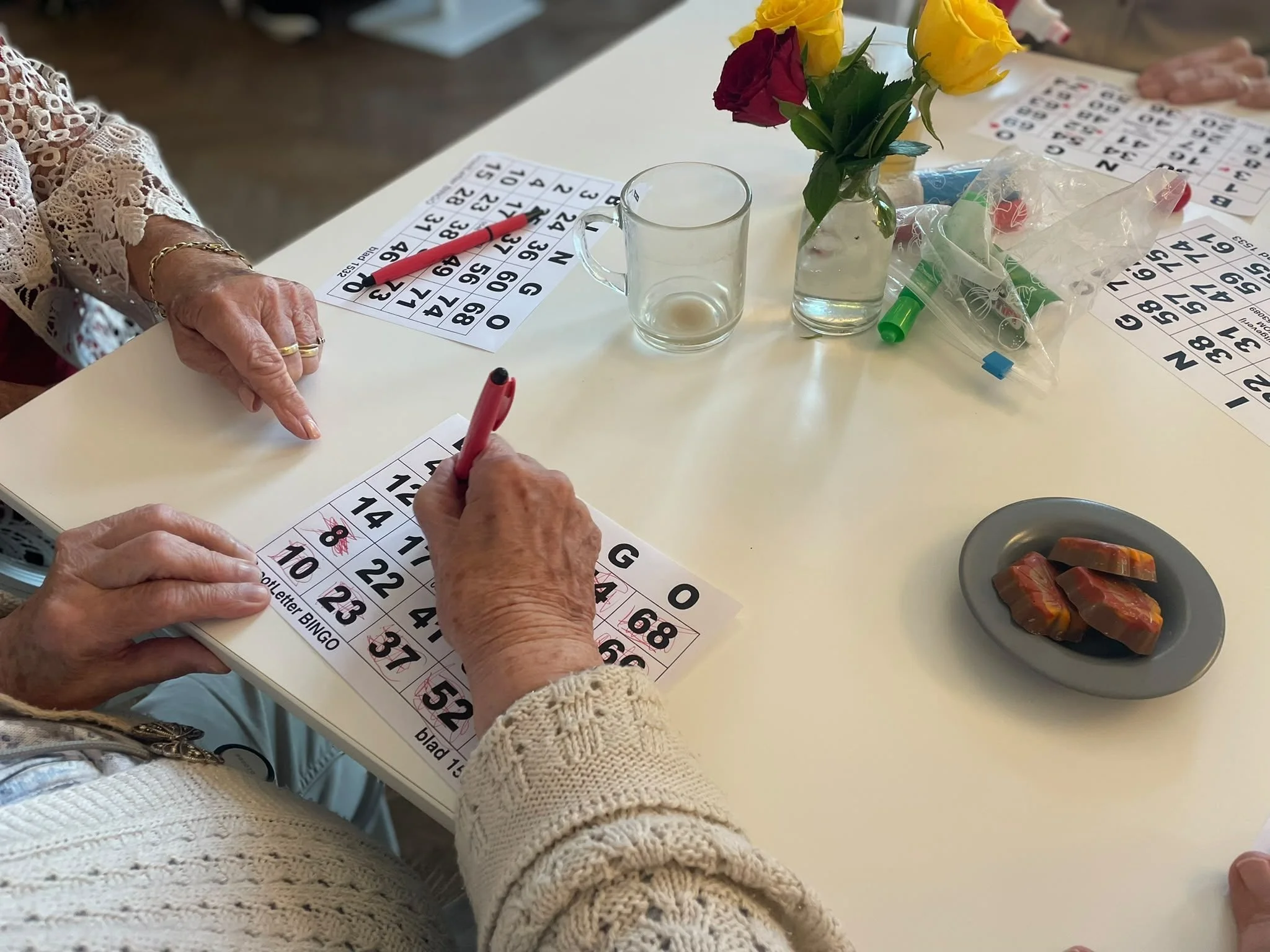Geslaagde bingomiddag bij Vivere!