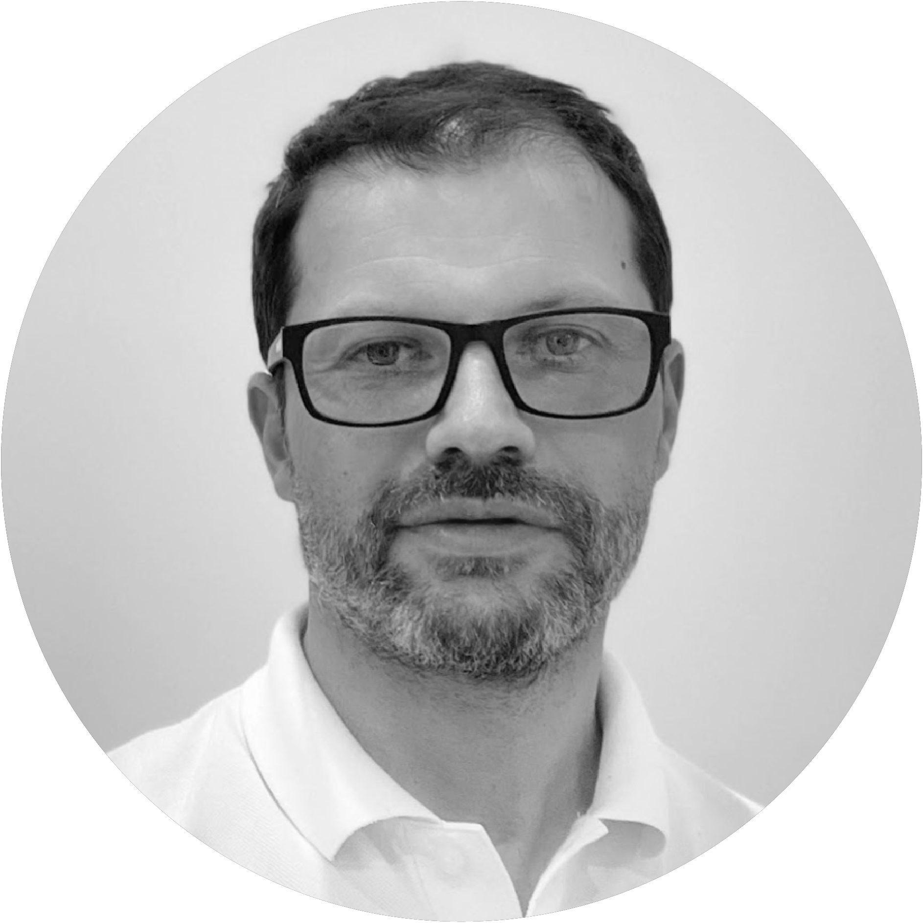 Dragonfly Thinking: Innovative AI-Powered Strategic Consulting Firm