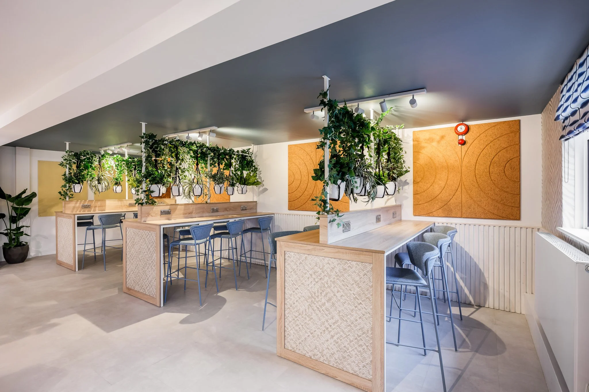 Modern school common room-5 web300.jpg