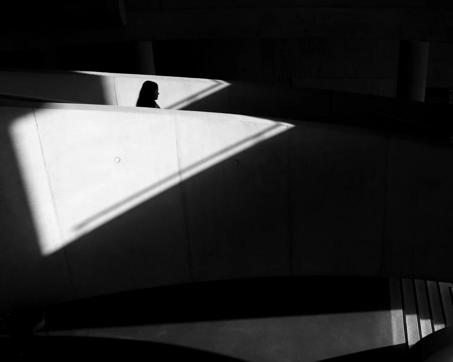 DSCF1729 web72.jpg