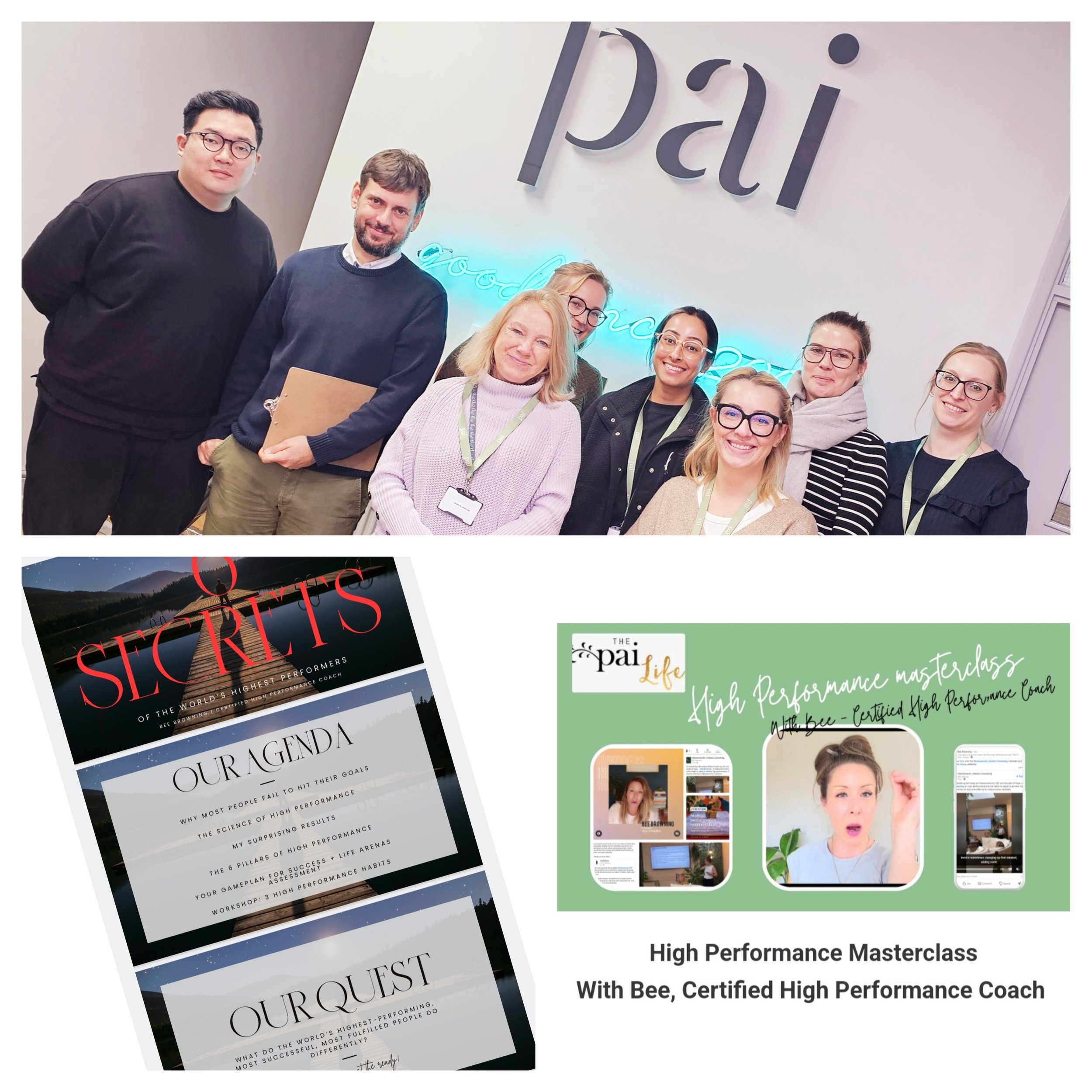 PAI collage for Masterclass.jpg