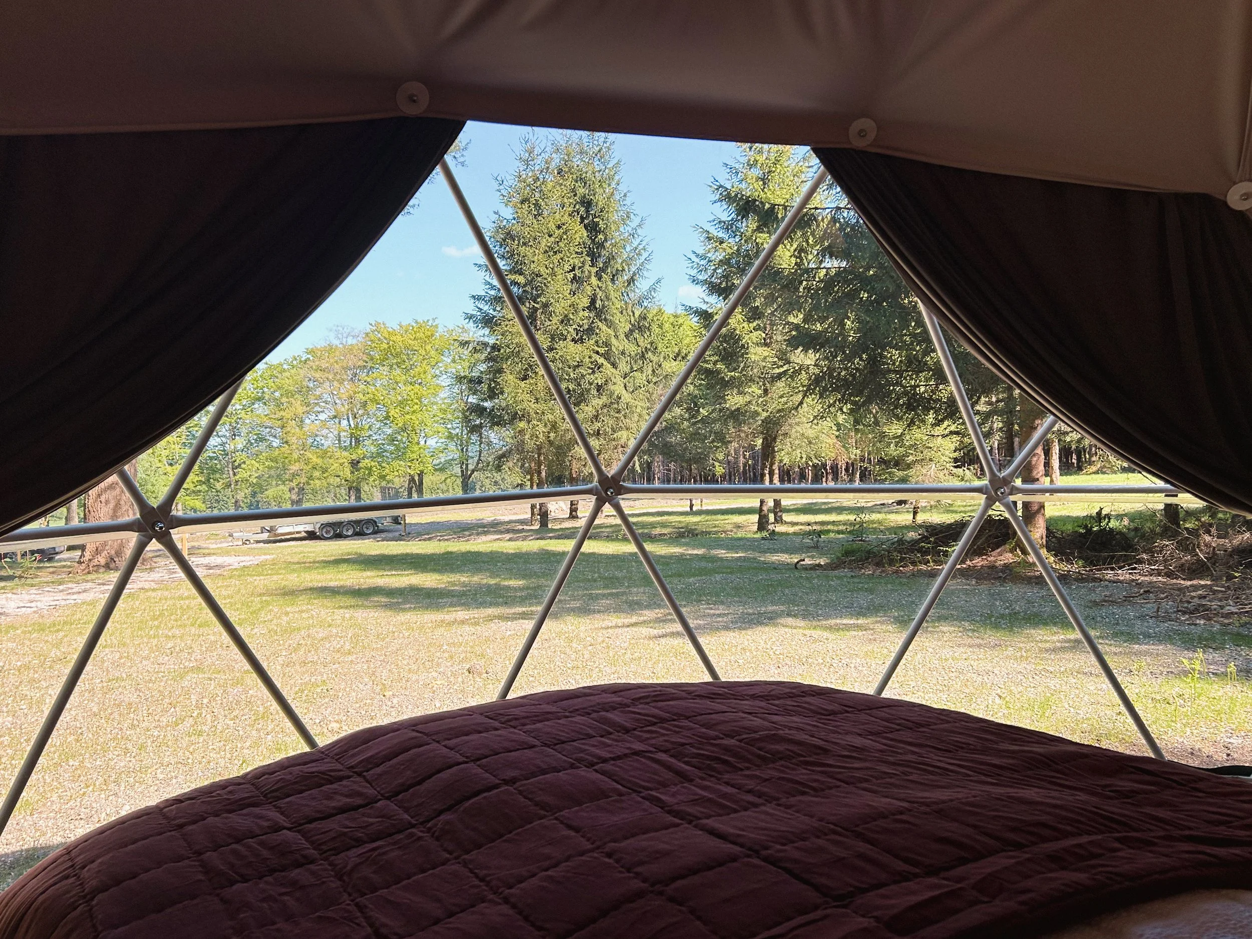 panoramic window with forest views in our luxury nature escape