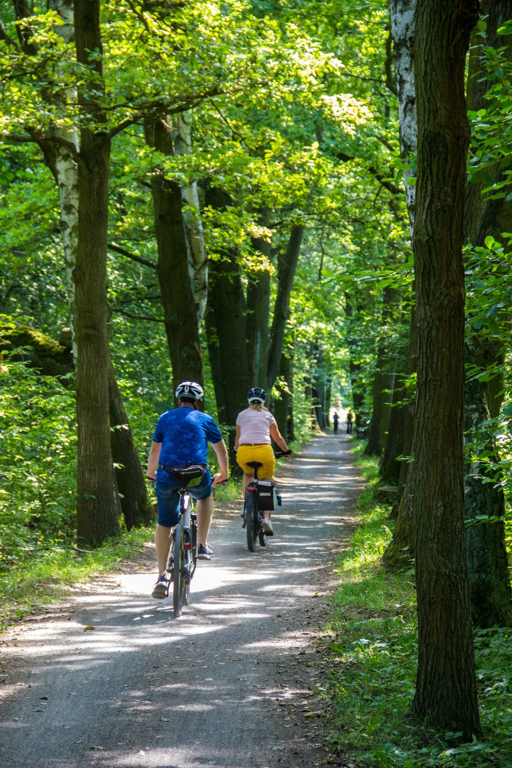 Biking Trails near High Moor Estate