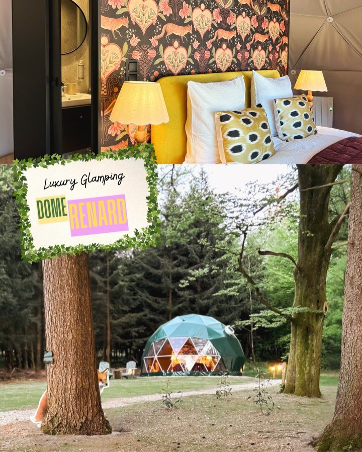 You know that one tiny idea that starts small&hellip; and then suddenly you&rsquo;ve built three dreamy domes in the woods? Yep. Meet the newest additions to High Moor Estate: 🦊 Dome Renard &ndash; the playful one. Clever, cozy, and understands all 